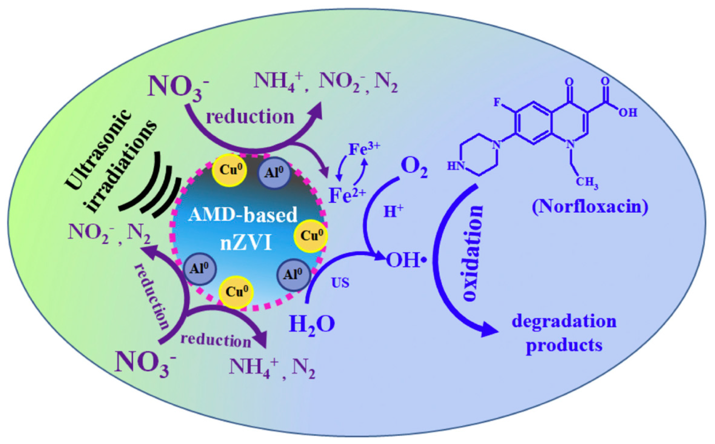 Nanomaterials 10 00917 g005