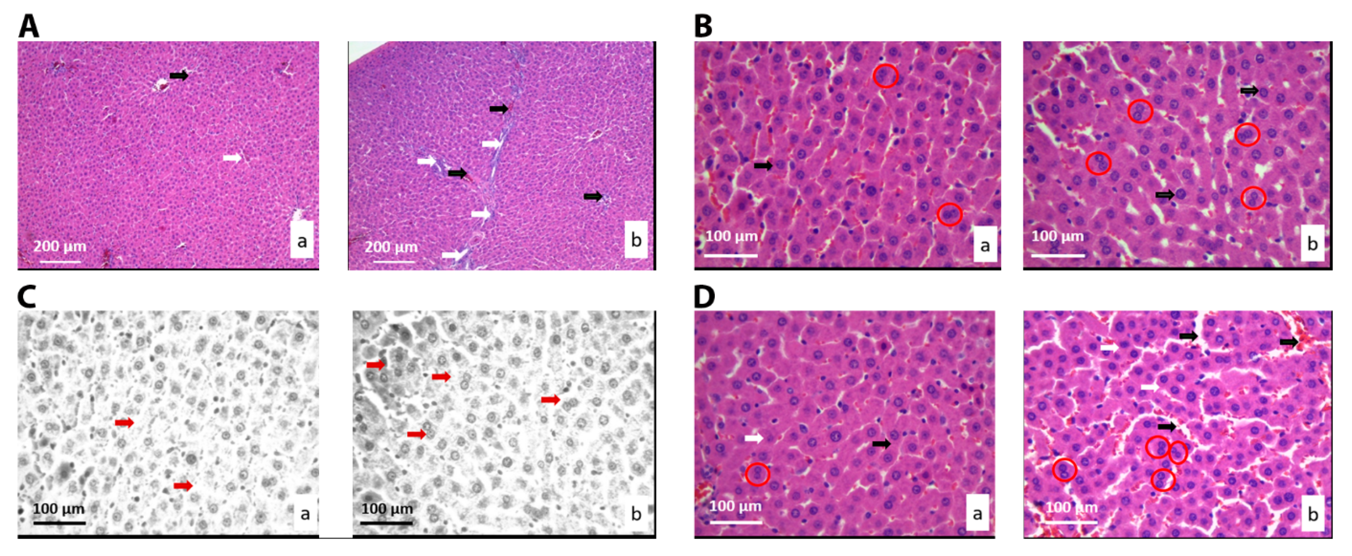 Nanomaterials 10 00918 g003 Nanomaterials 10 00918 g003