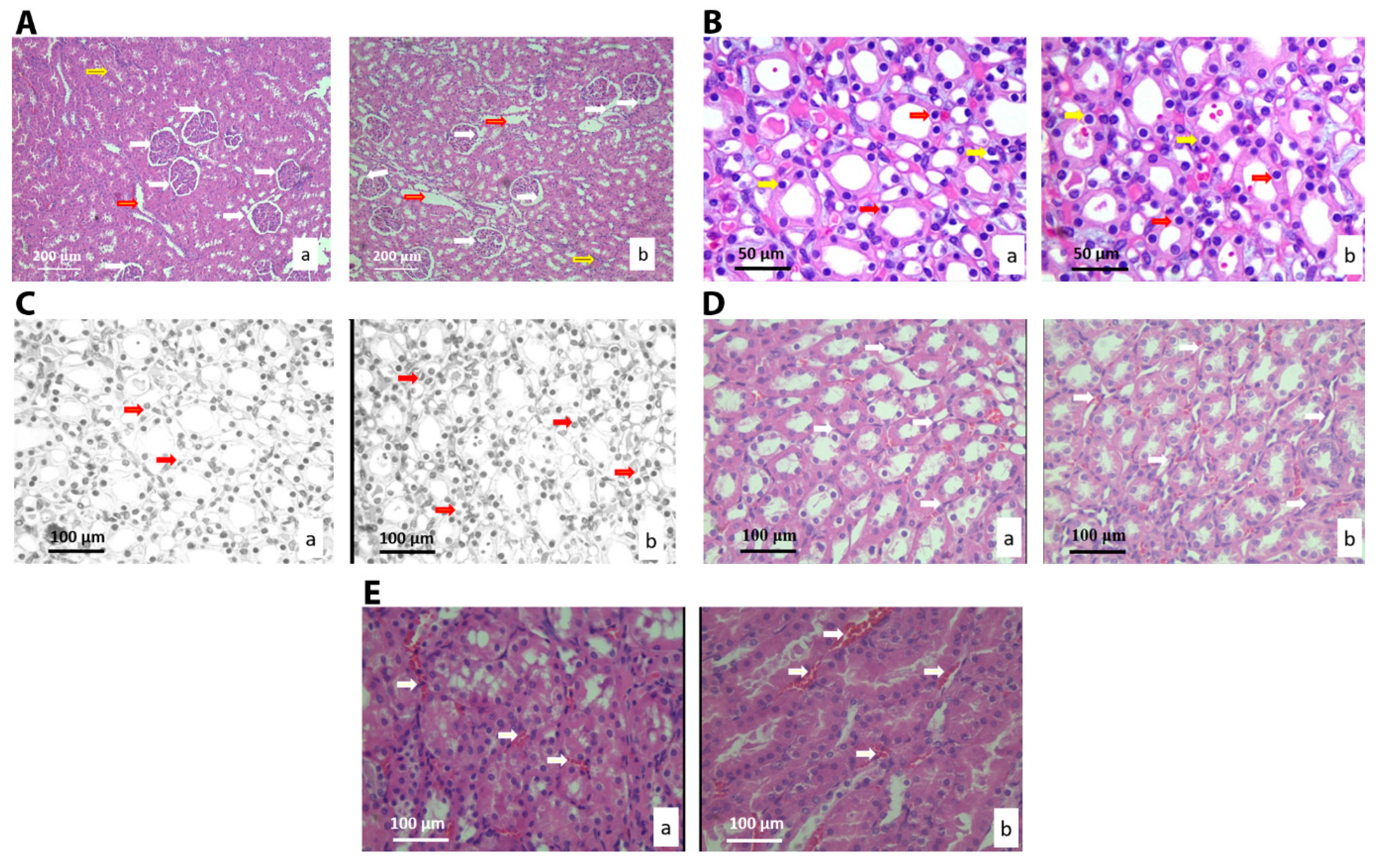 Nanomaterials 10 00918 g004 Nanomaterials 10 00918 g004