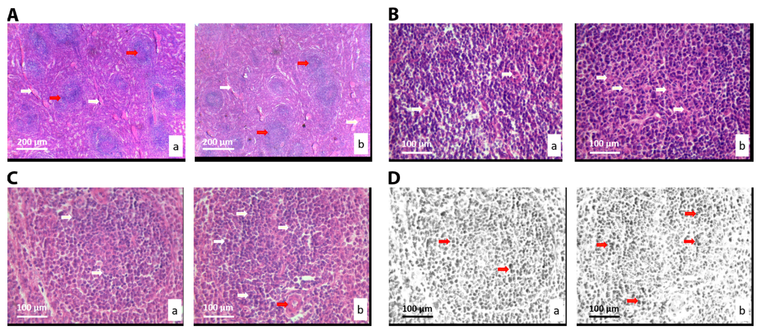 Nanomaterials 10 00918 g005 Nanomaterials 10 00918 g005