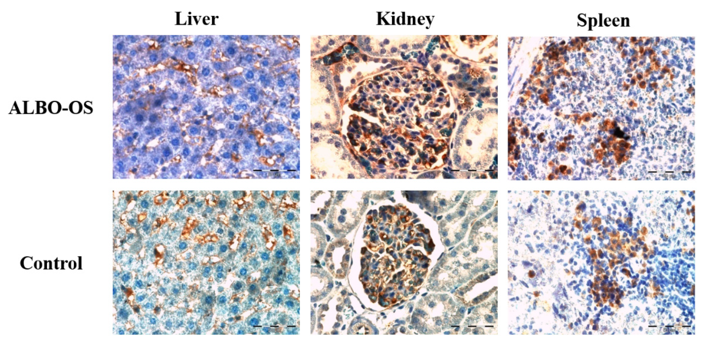 Nanomaterials 10 00918 g006 Nanomaterials 10 00918 g006