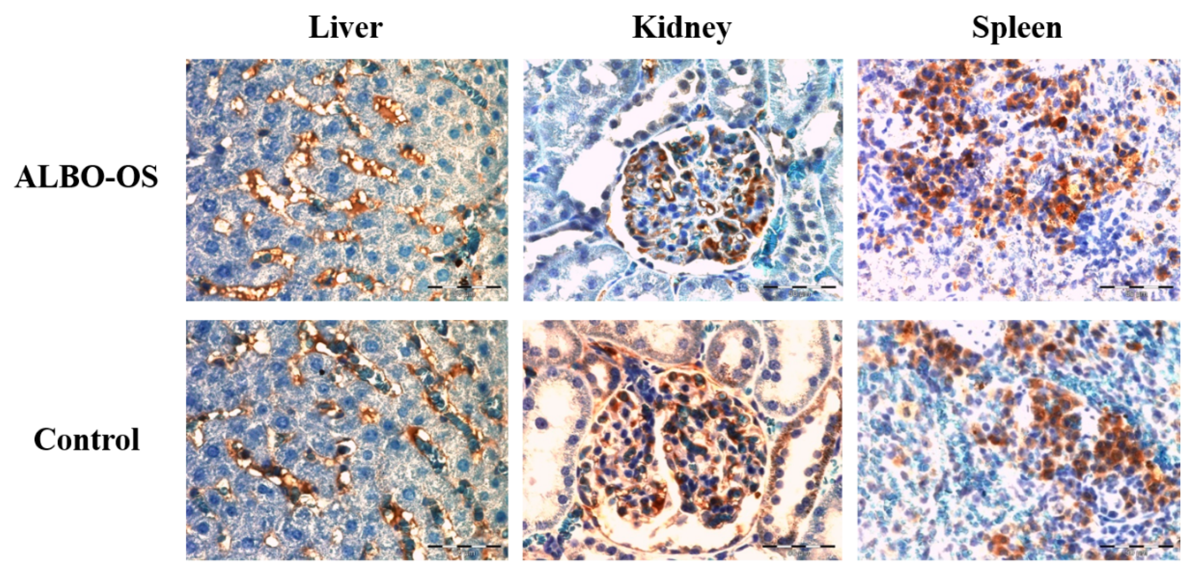 Nanomaterials 10 00918 g007 Nanomaterials 10 00918 g007