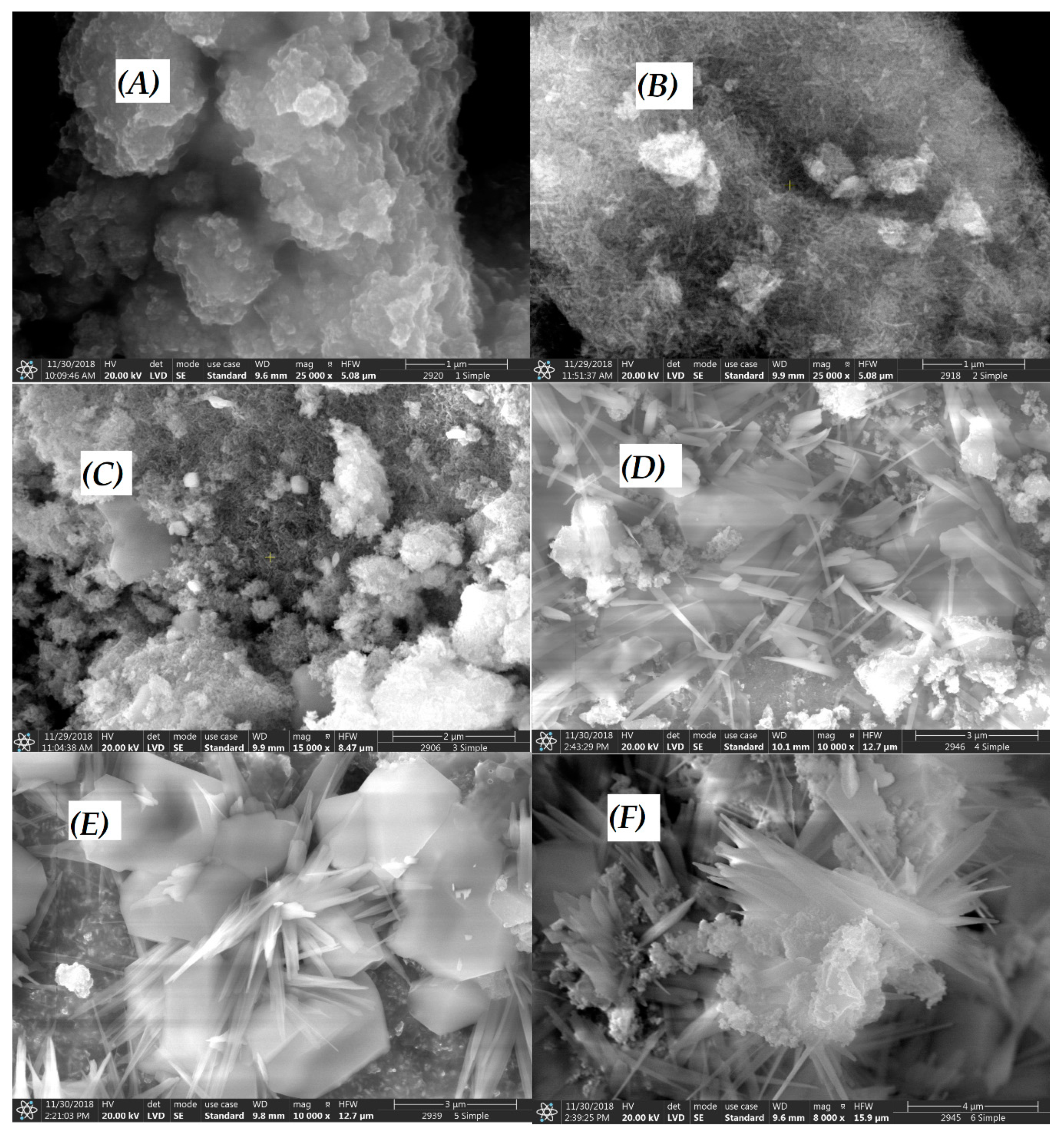 Nanomaterials 10 00921 g004
