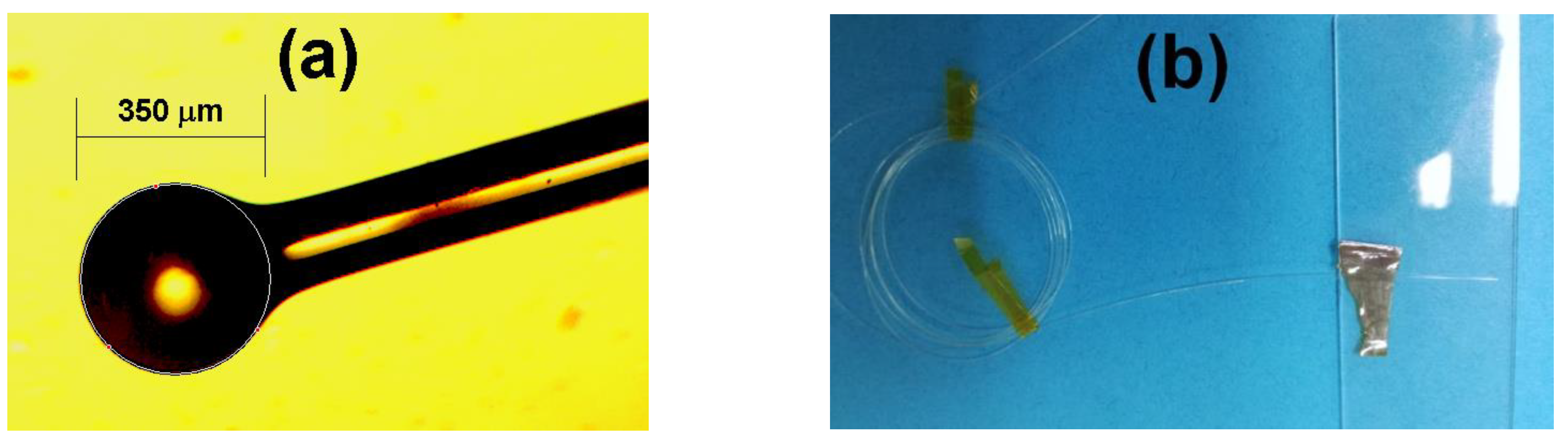 Nanomaterials 10 00923 g001 Nanomaterials 10 00923 g001