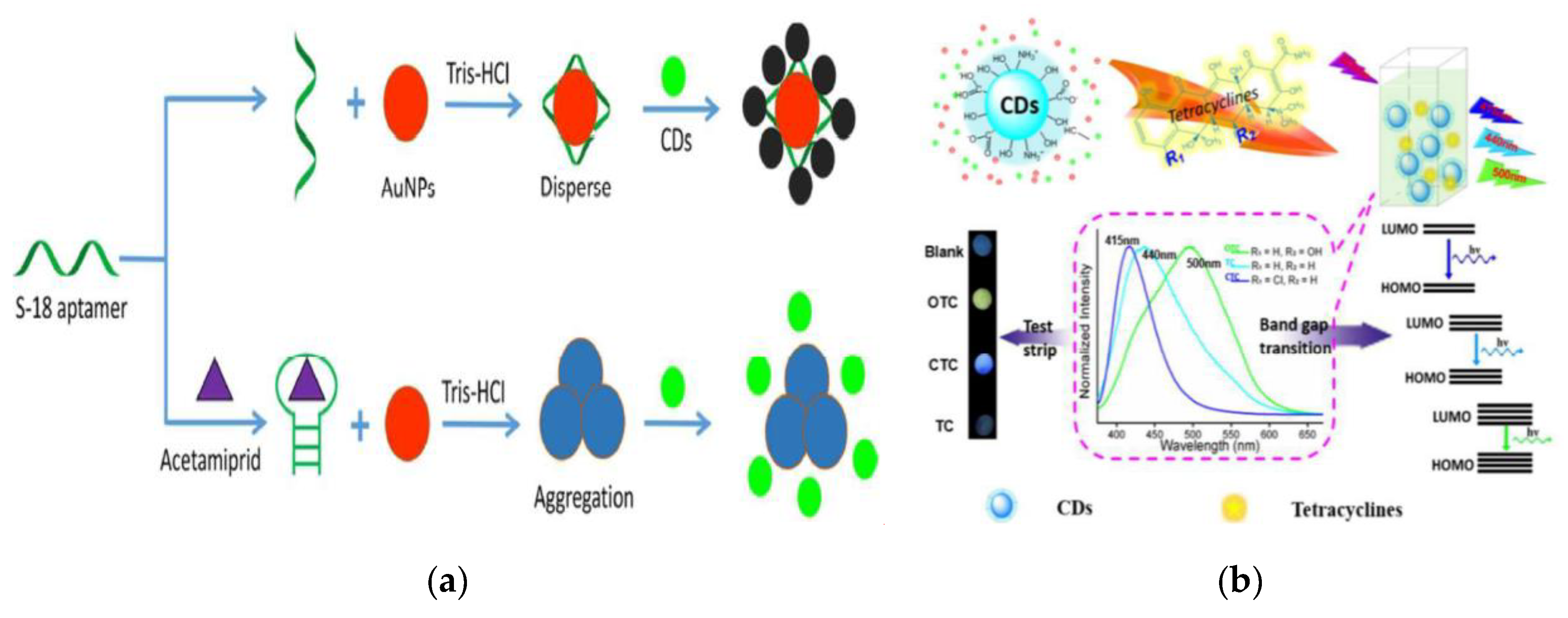 Nanomaterials 10 00930 g007