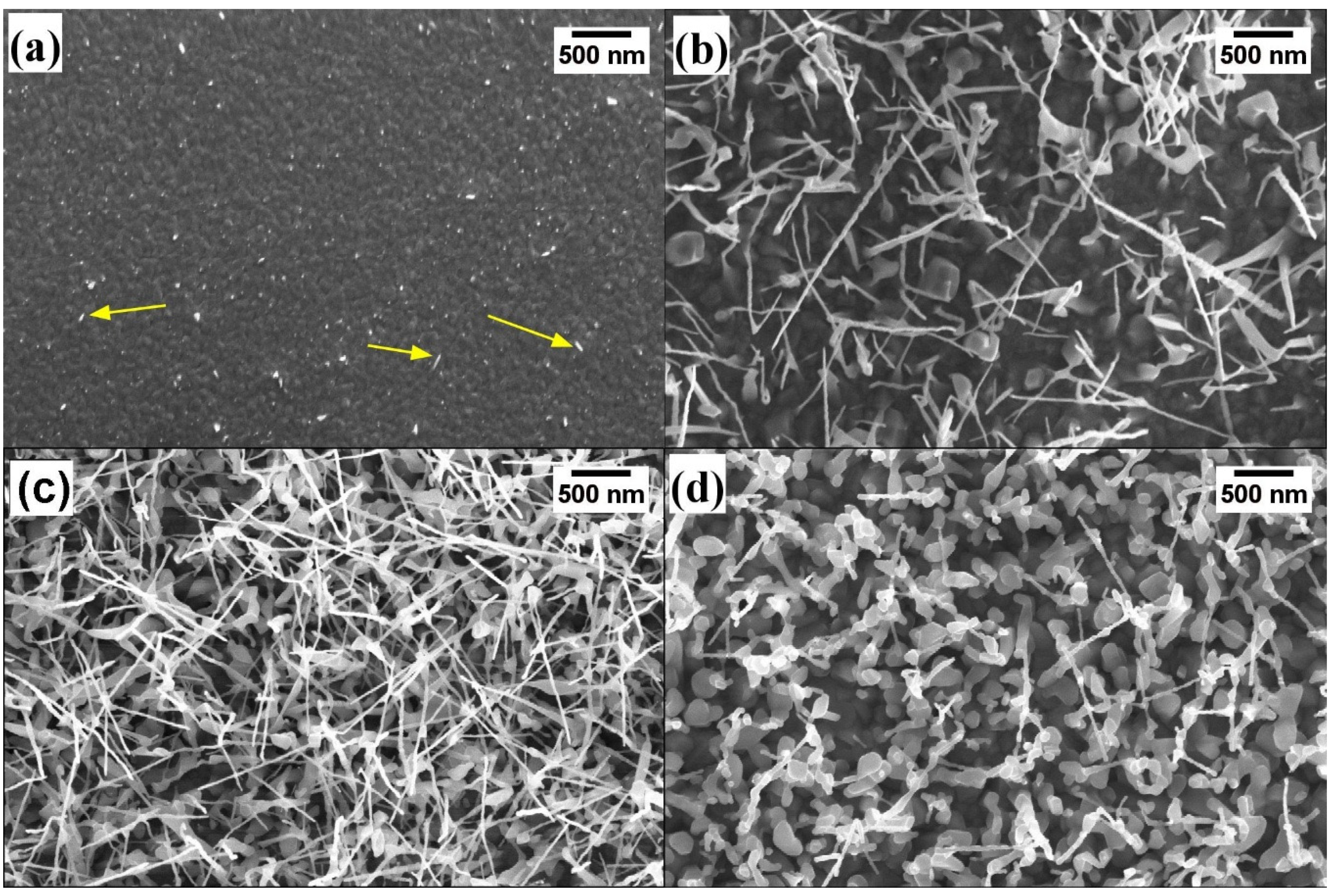 Nanomaterials 10 00935 g004 Nanomaterials 10 00935 g004