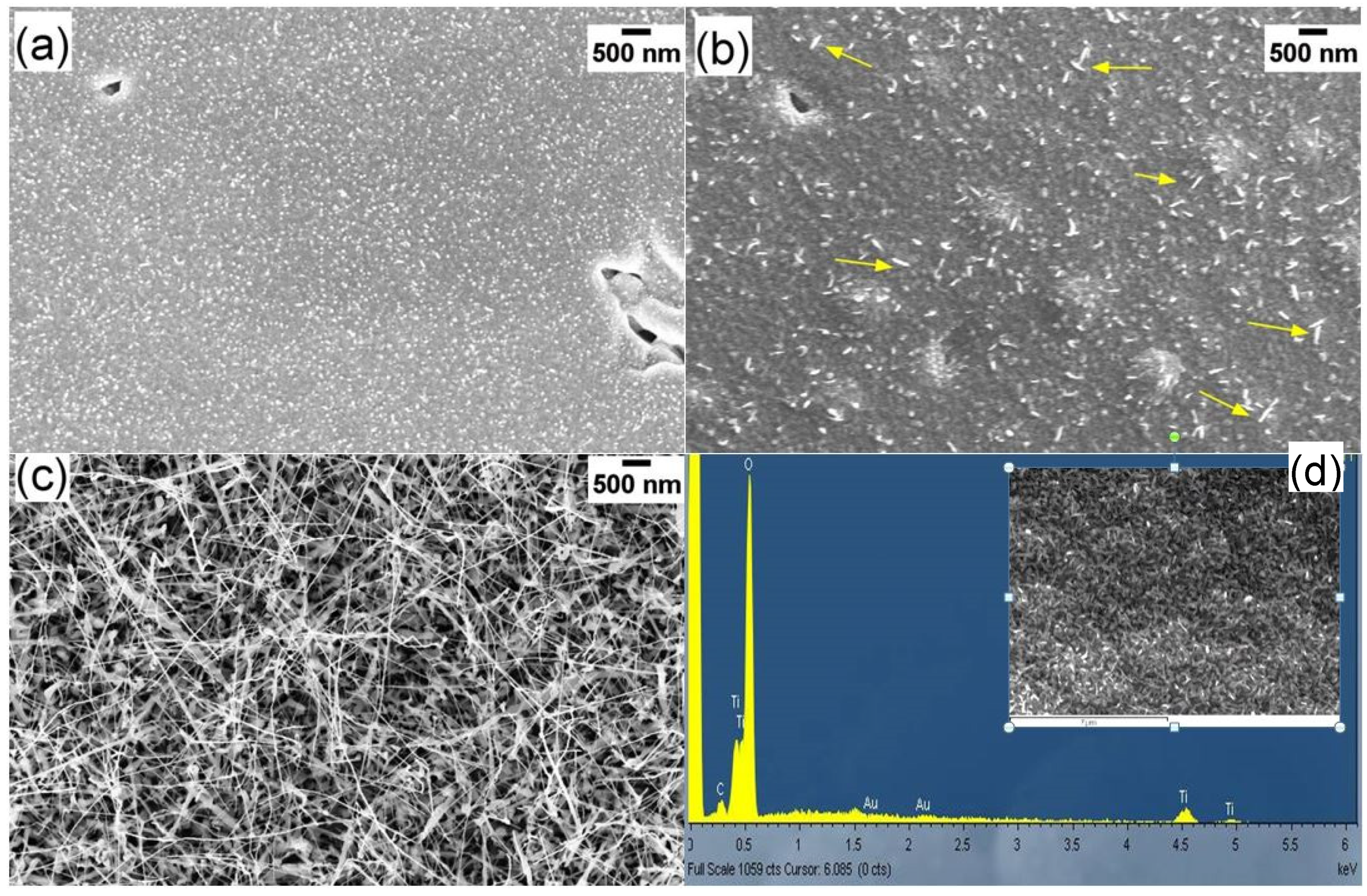 Nanomaterials 10 00935 g005 Nanomaterials 10 00935 g005