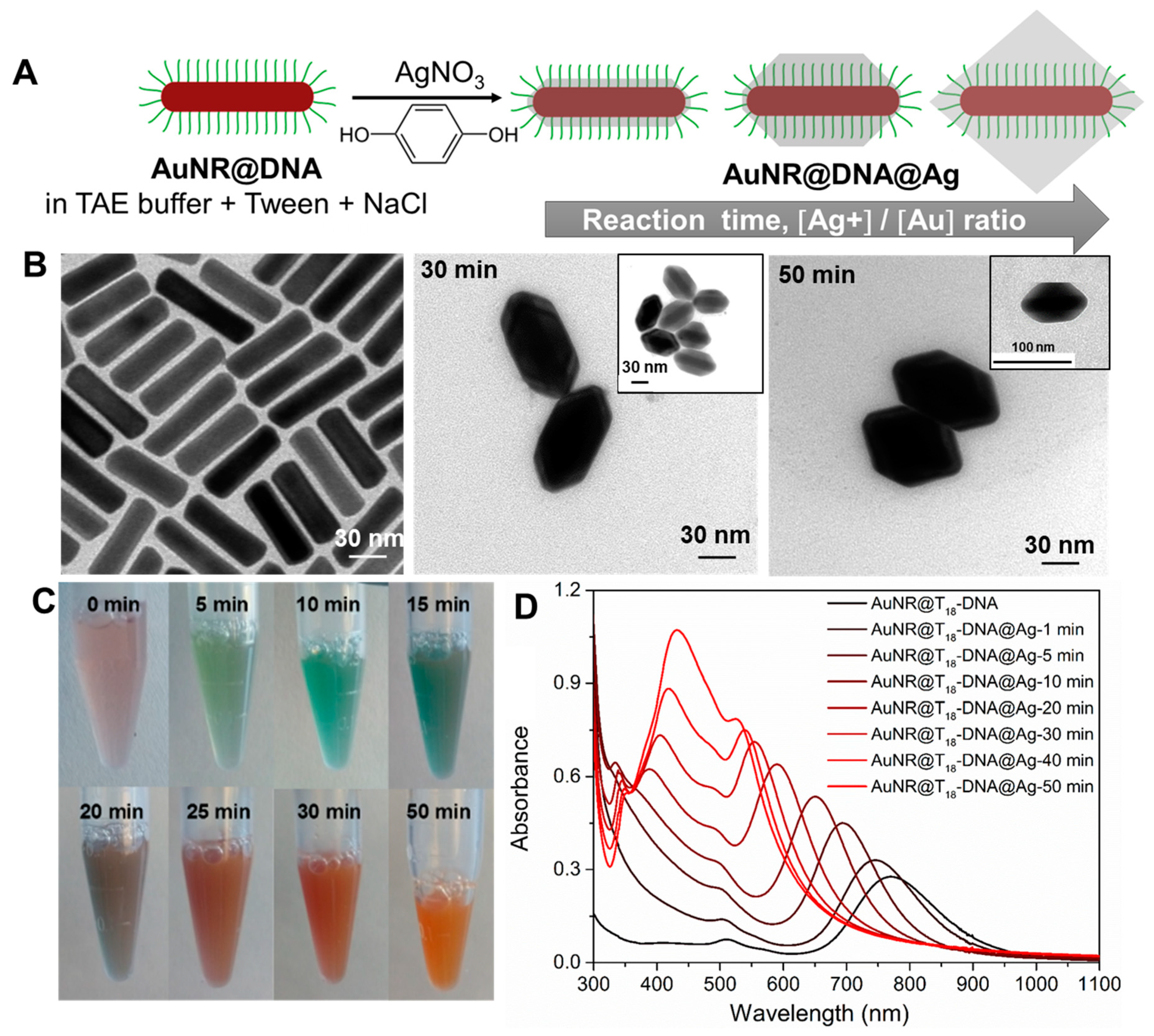 Nanomaterials 10 00942 g001