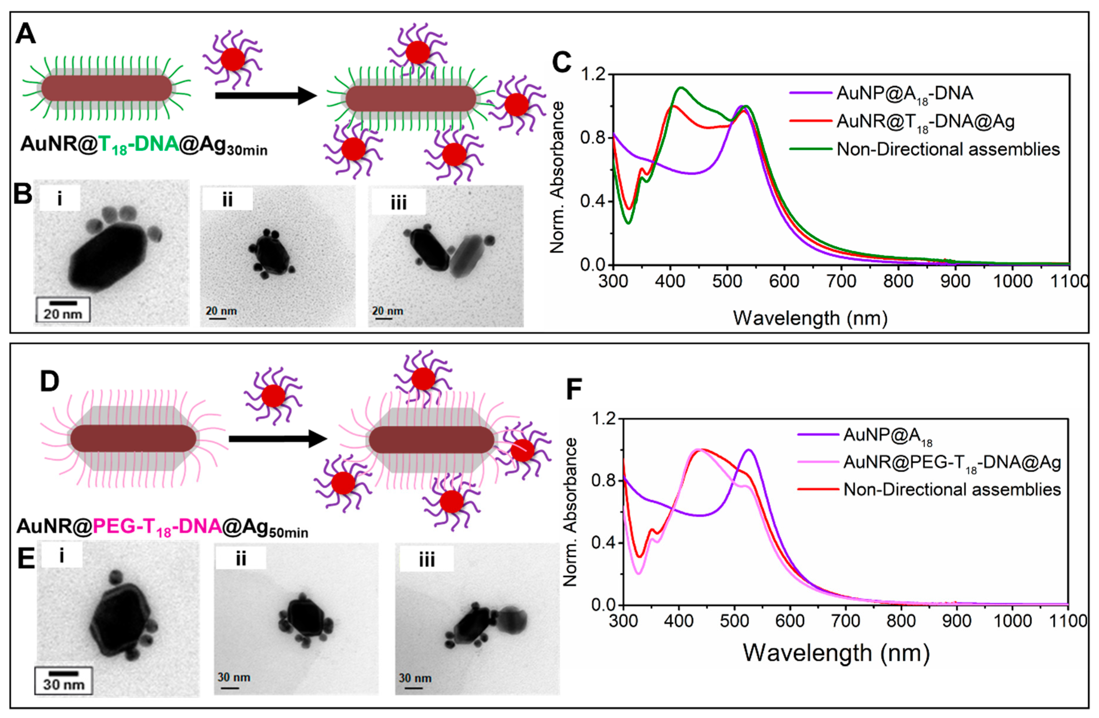Nanomaterials 10 00942 g004