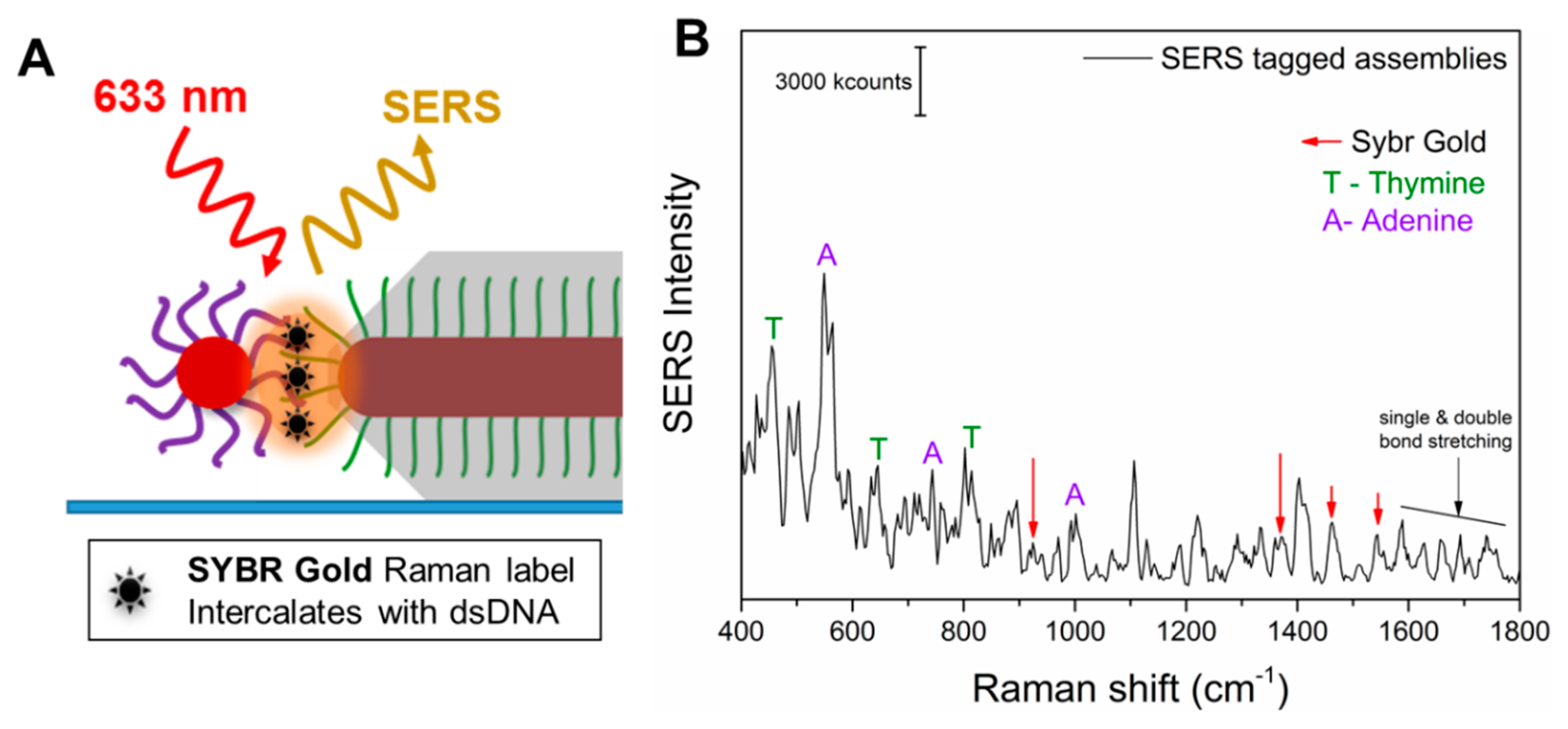 Nanomaterials 10 00942 g006