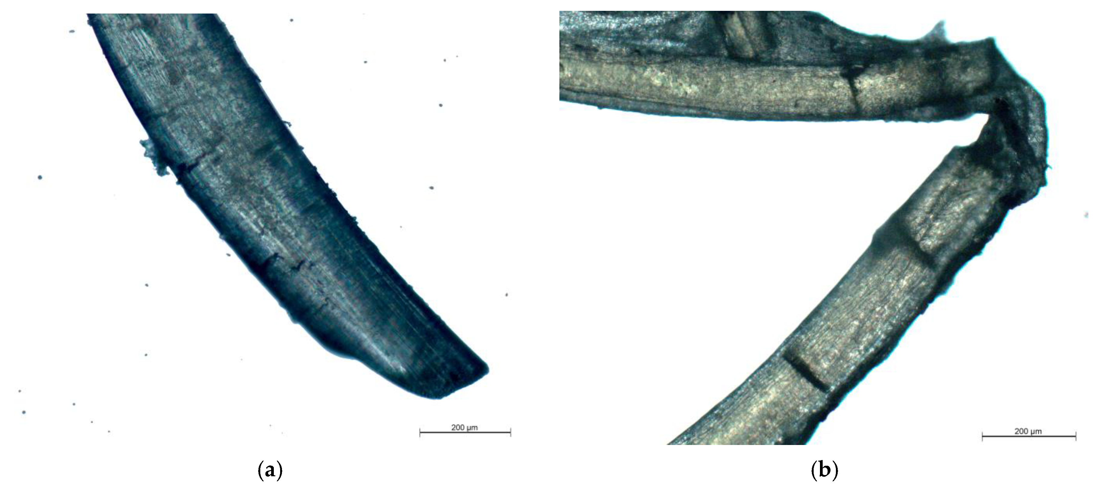 Nanomaterials 10 00945 g006