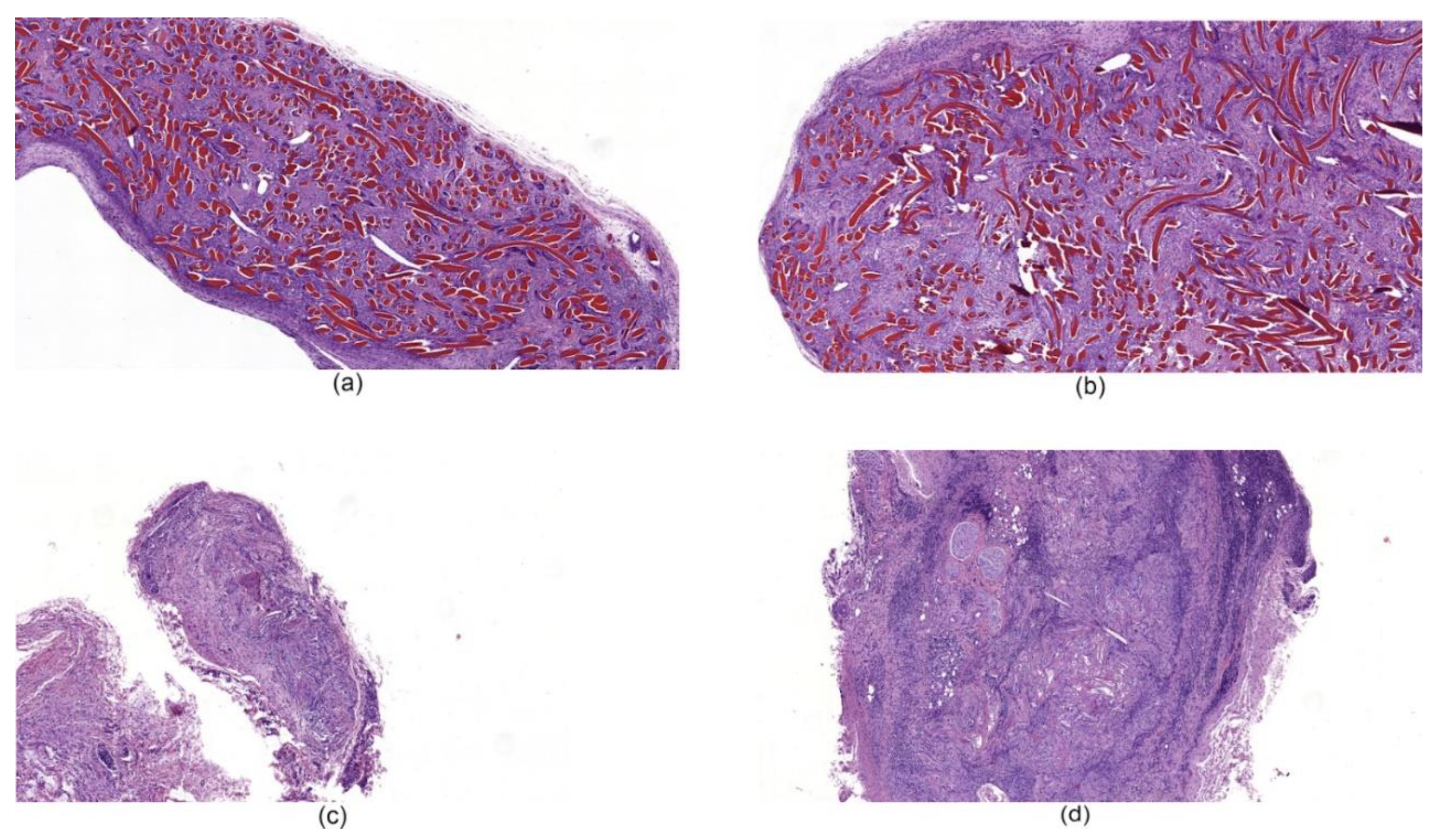 Nanomaterials 10 00945 g008