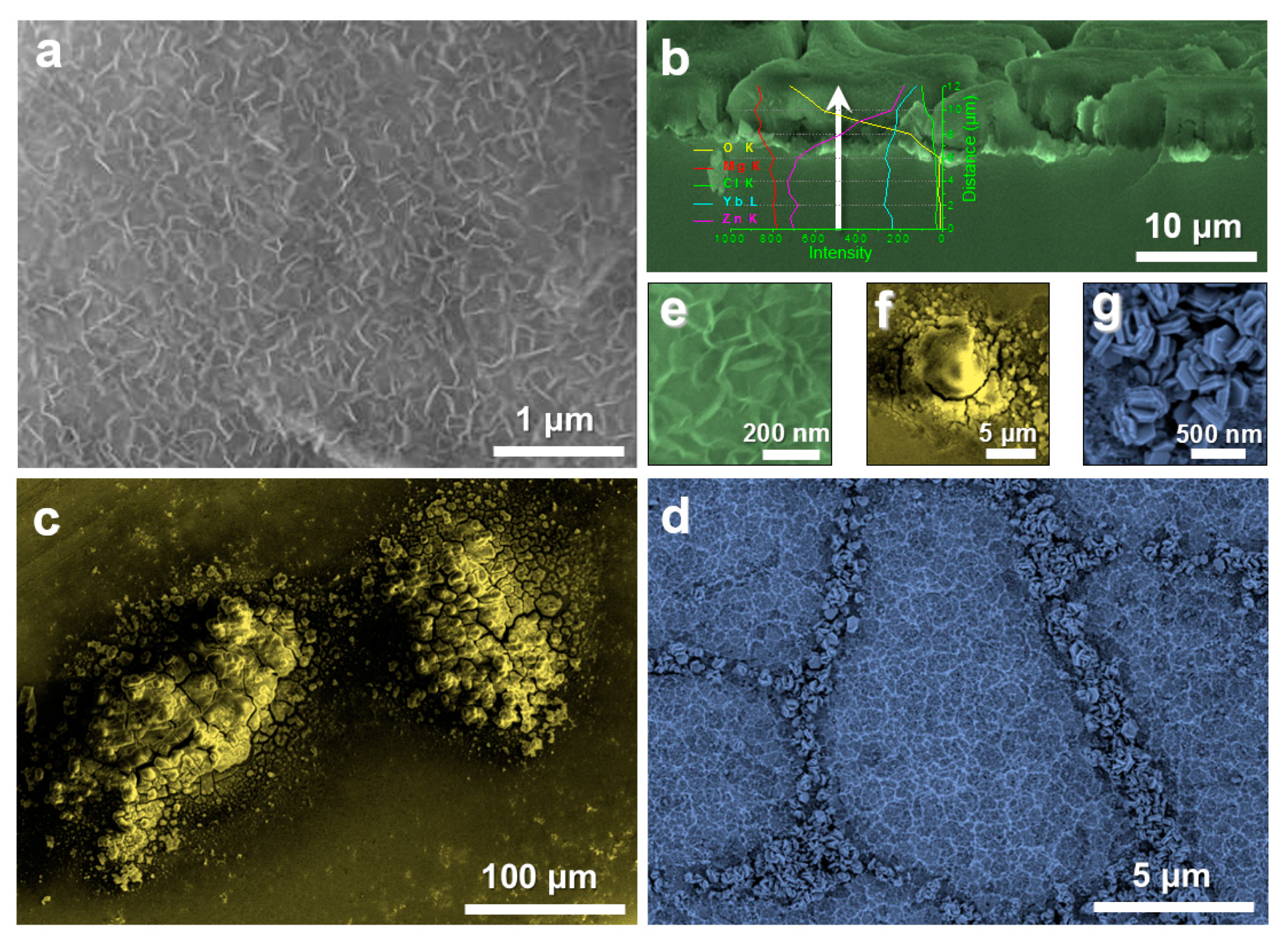 Nanomaterials 10 00947 g011 Nanomaterials 10 00947 g011