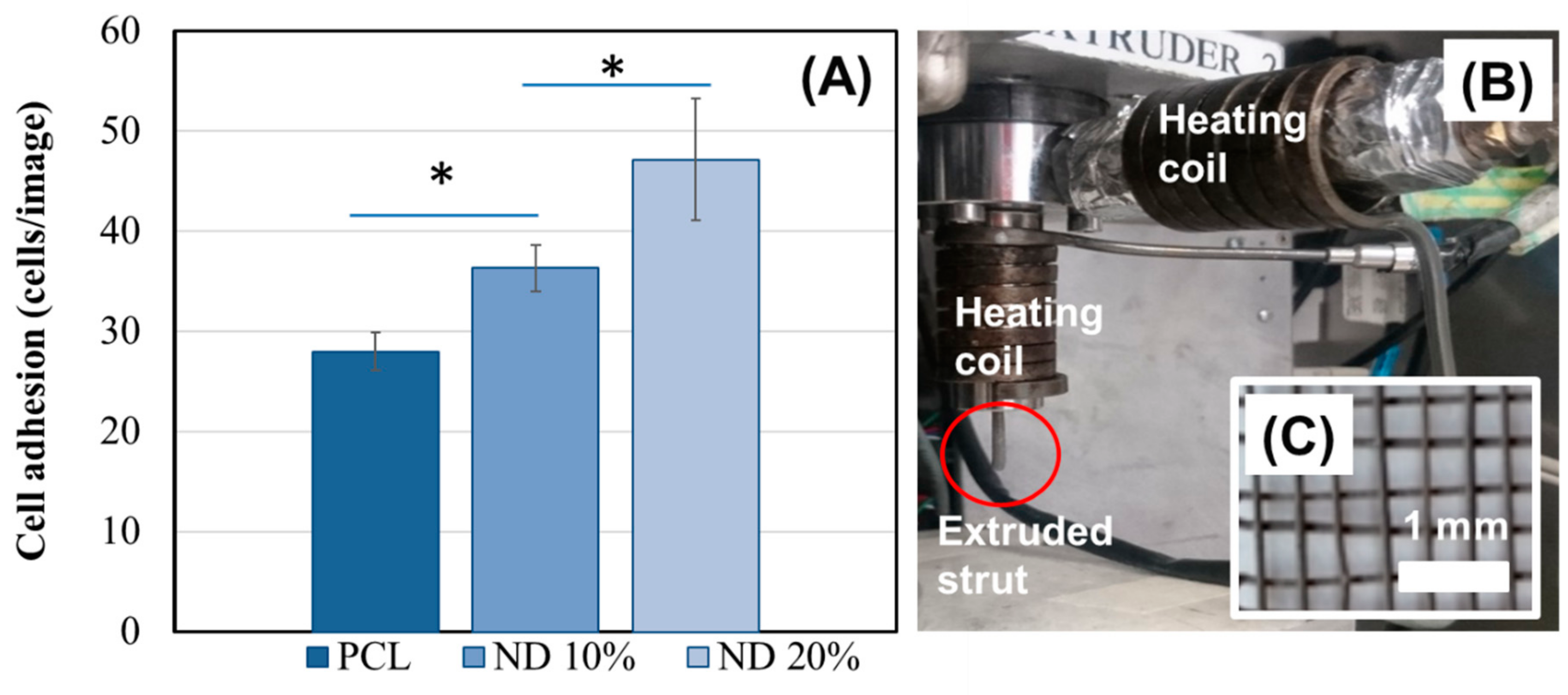 Nanomaterials 10 00948 g003
