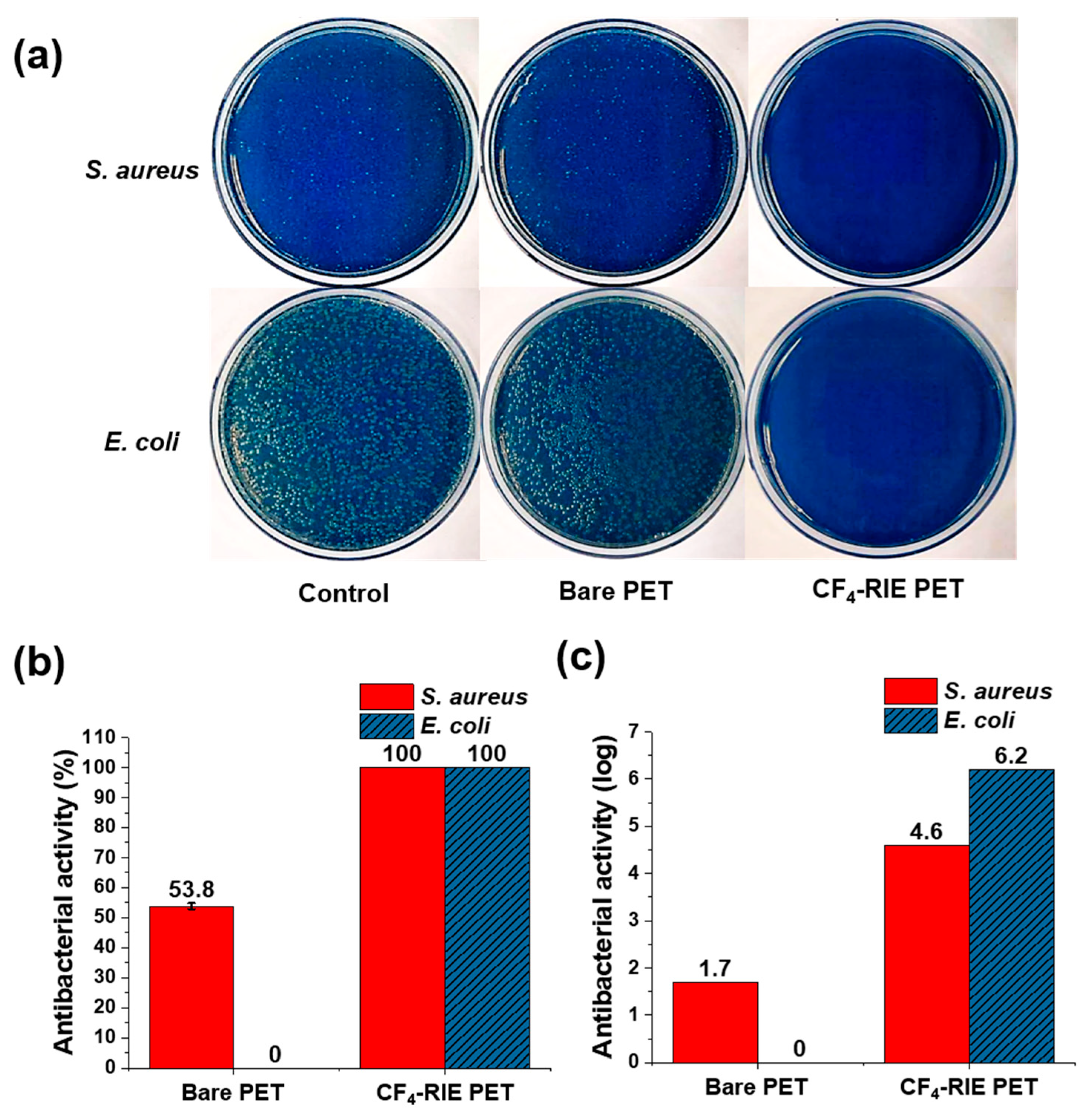Nanomaterials Free Full Text Simple Fabrication Of Transparent Colorless And Self Disinfecting Polyethylene Terephthalate Film Via Cold Plasma Treatment Html