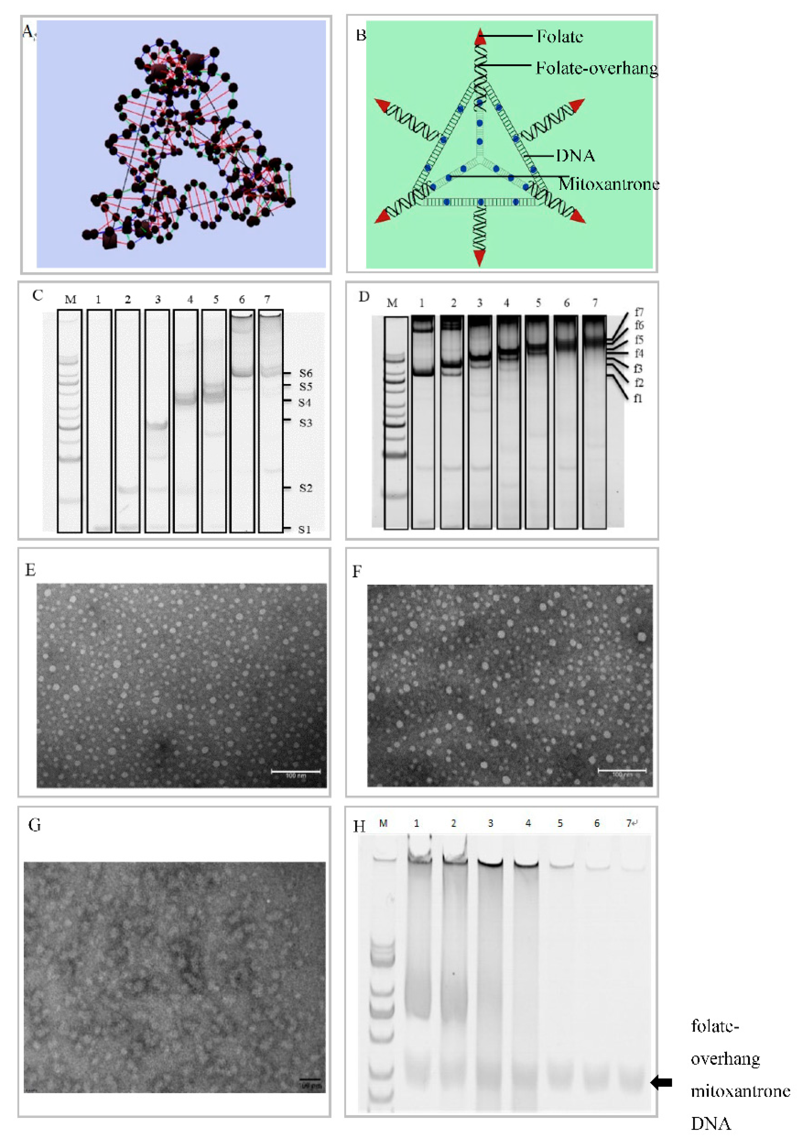 Nanomaterials 10 00951 g001