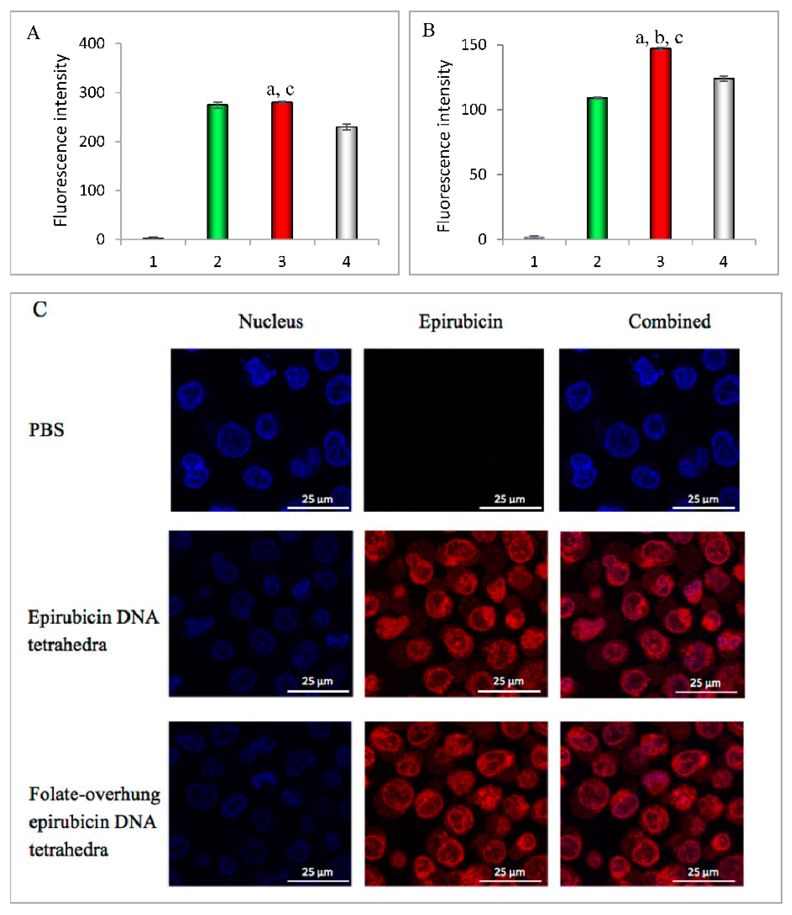 Nanomaterials 10 00951 g002