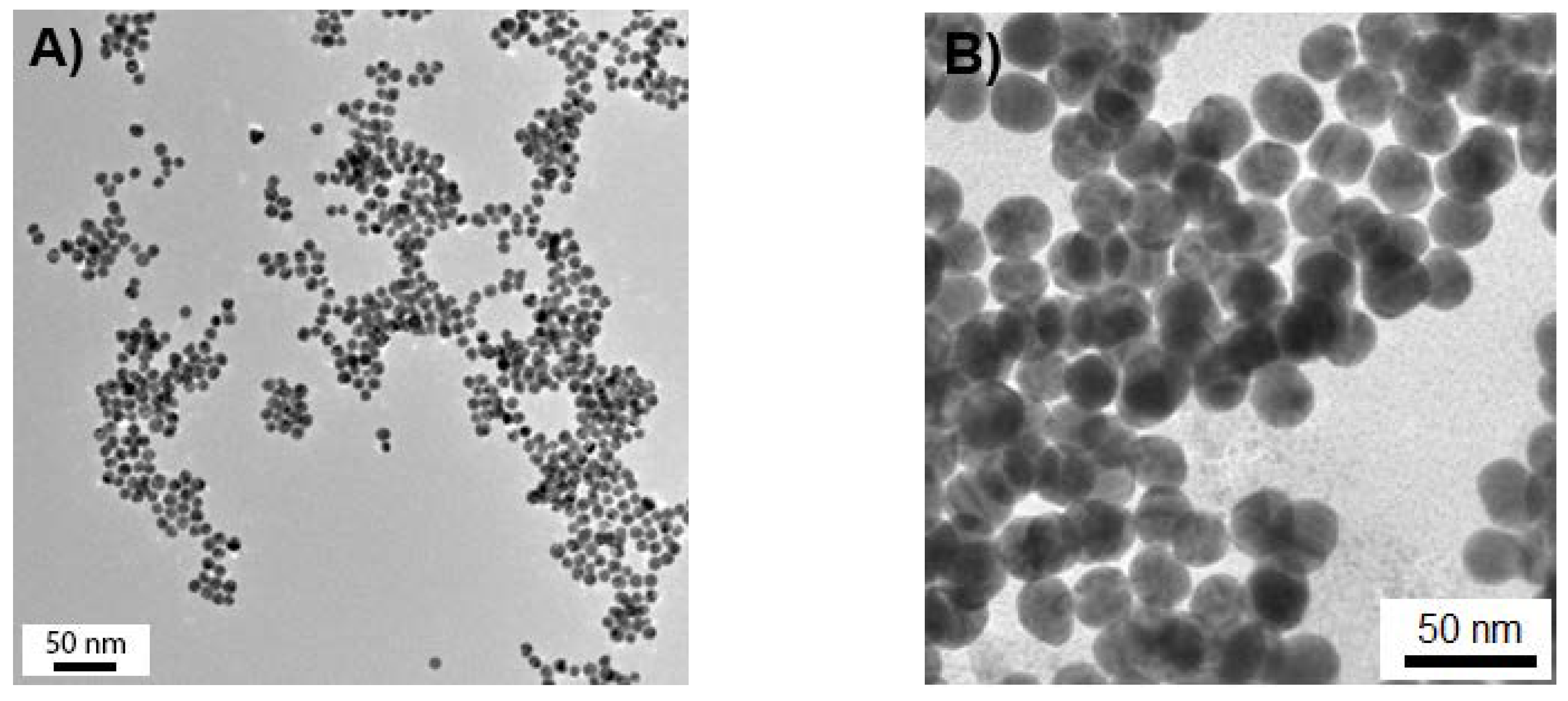 Nanomaterials 10 00952 g001 Nanomaterials 10 00952 g001