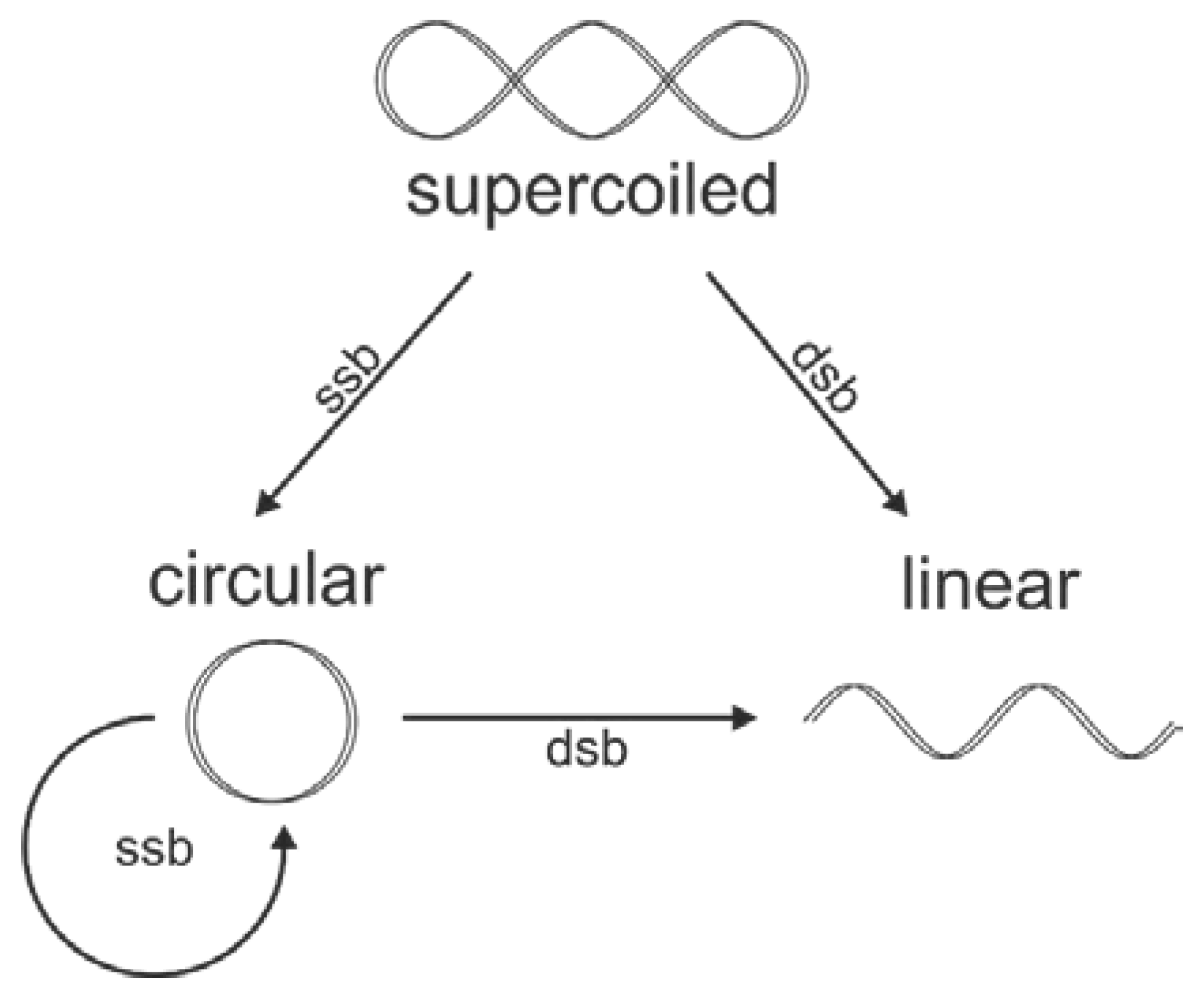 Nanomaterials 10 00952 g003 Nanomaterials 10 00952 g003