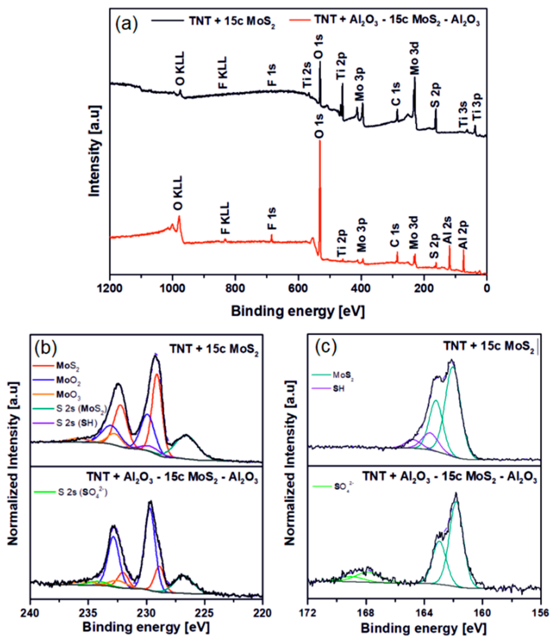 Nanomaterials 10 00953 g002