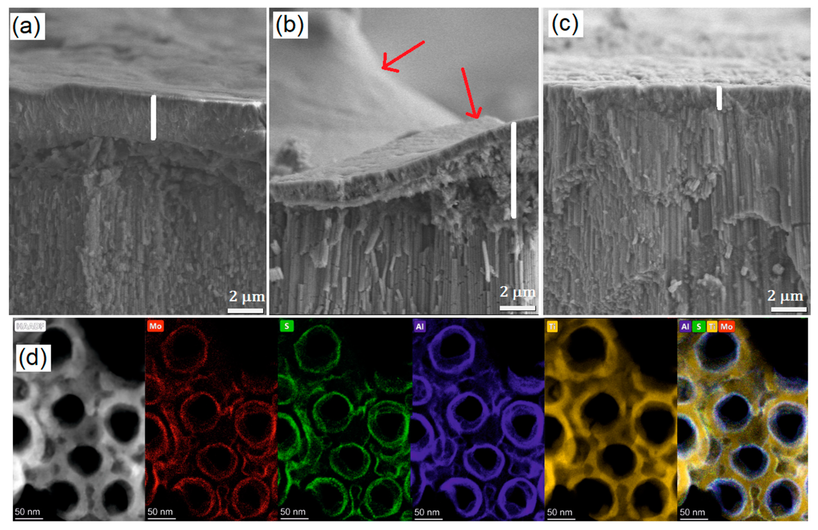 Nanomaterials 10 00953 g006