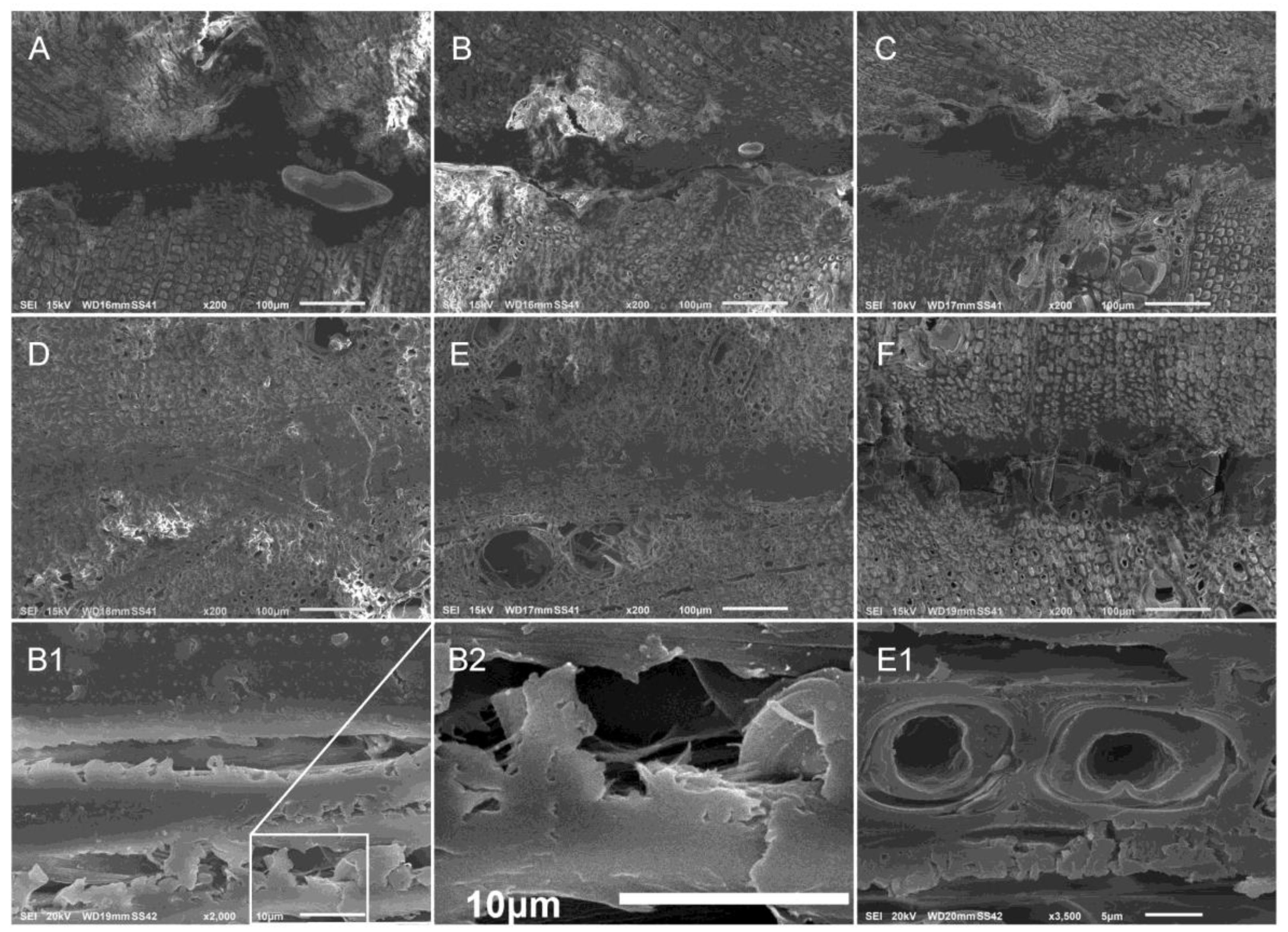 Nanomaterials 10 00956 g002 Nanomaterials 10 00956 g002