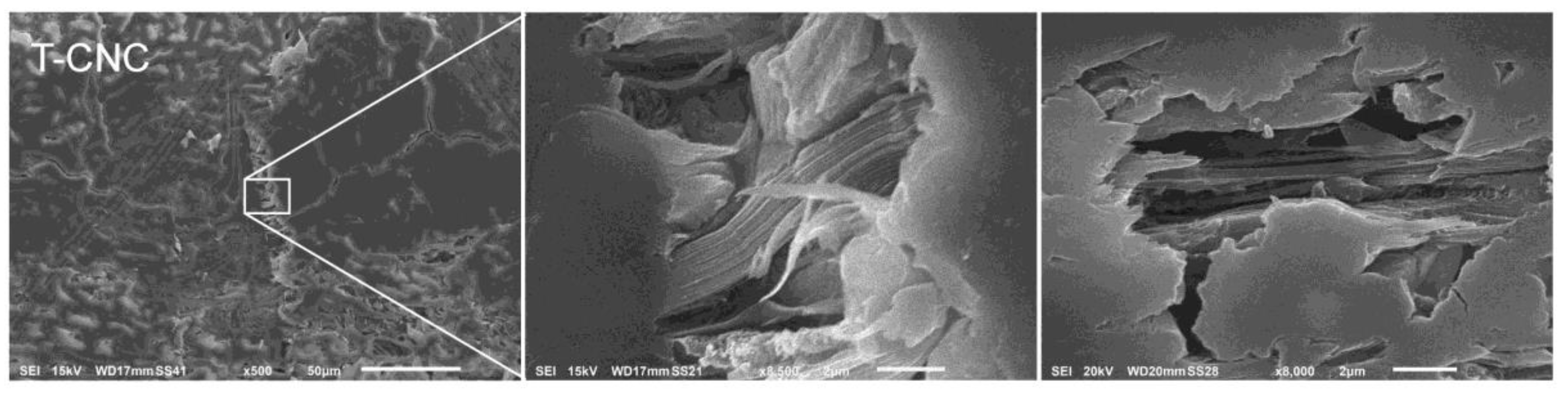 Nanomaterials 10 00956 g004 Nanomaterials 10 00956 g004