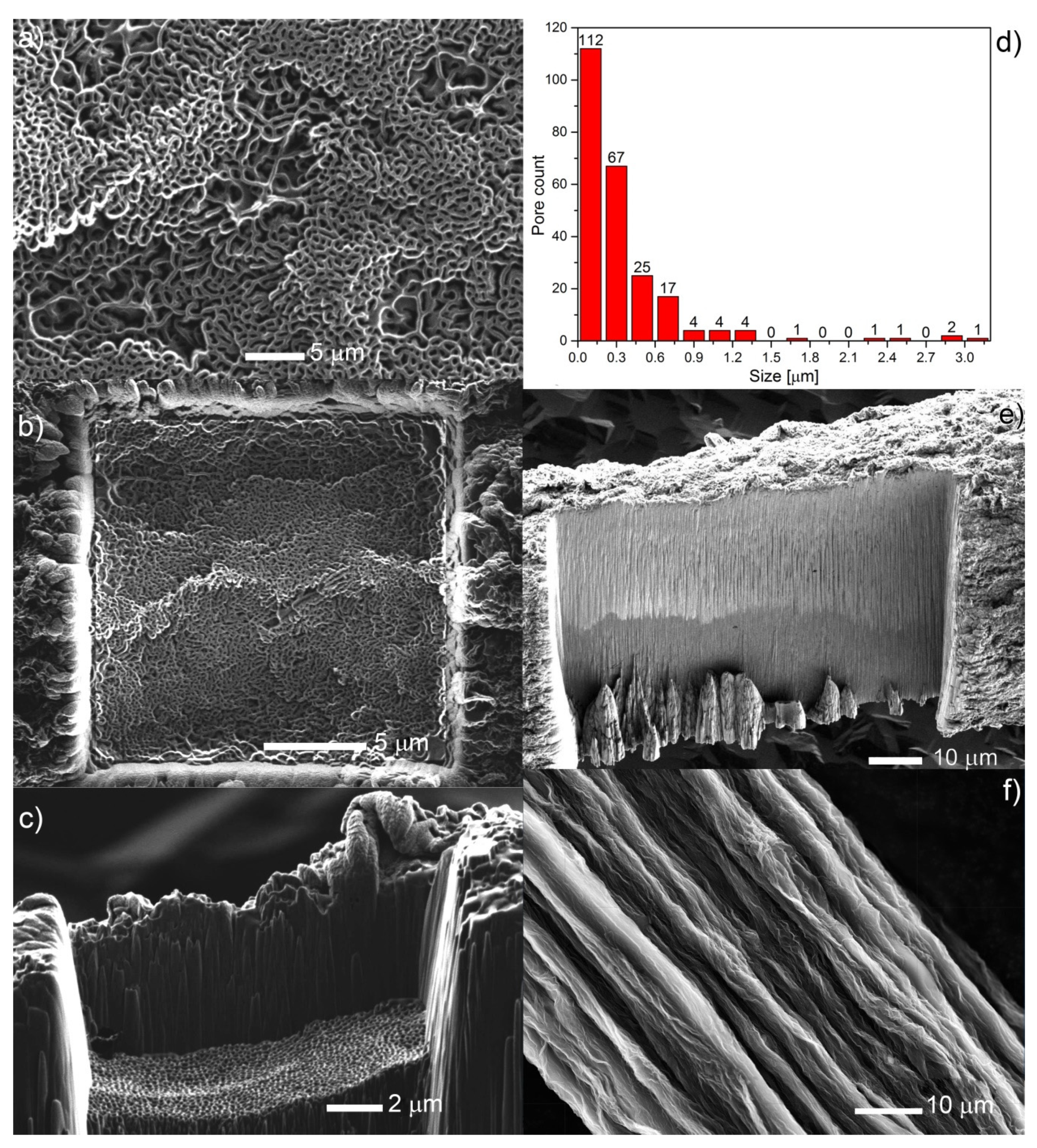 Nanomaterials 10 00957 g002