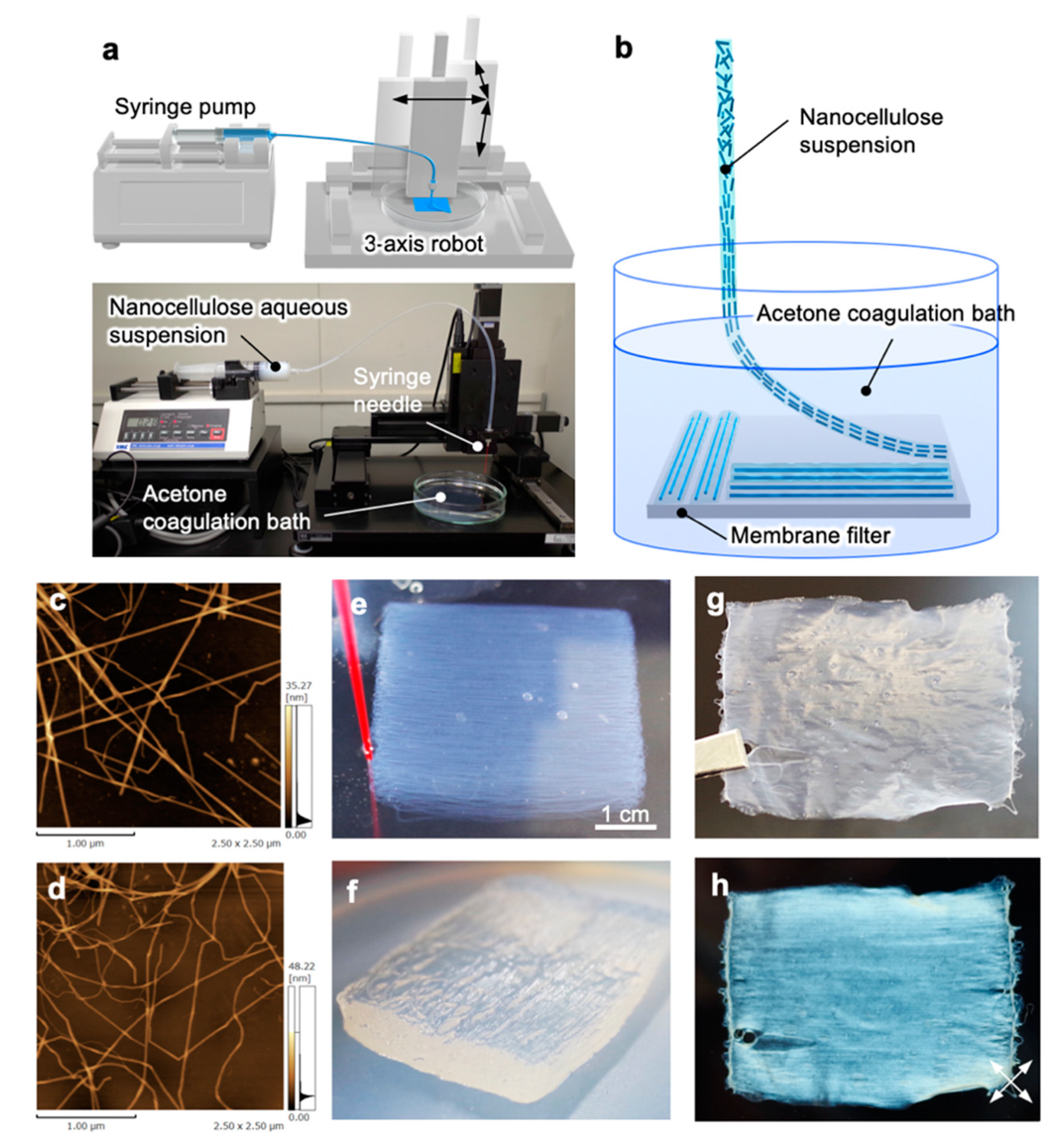 Nanomaterials 10 00958 g001 Nanomaterials 10 00958 g001