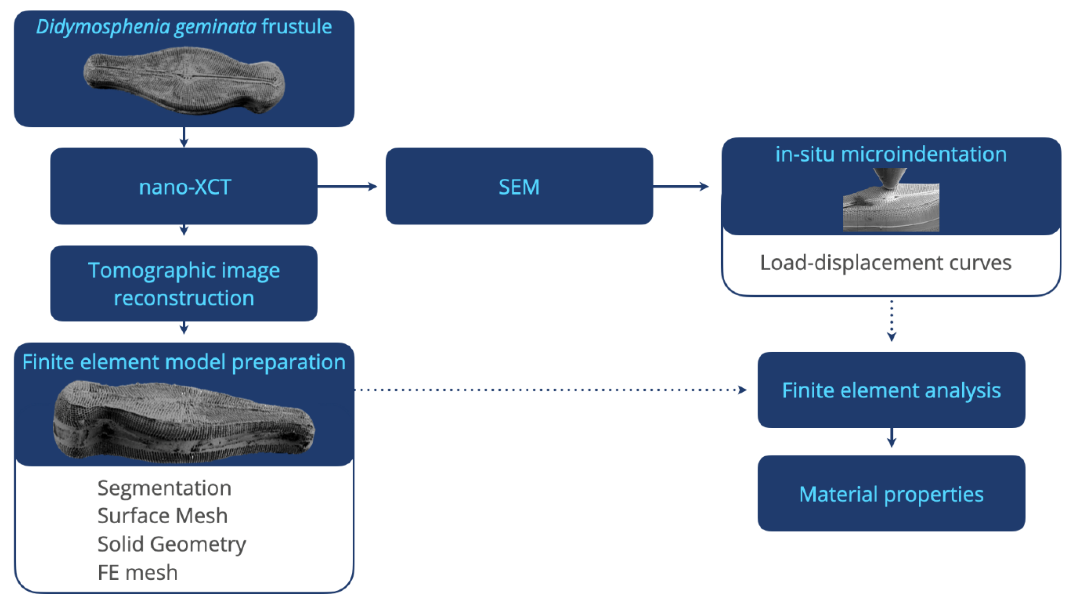 Nanomaterials 10 00959 g001 Nanomaterials 10 00959 g001