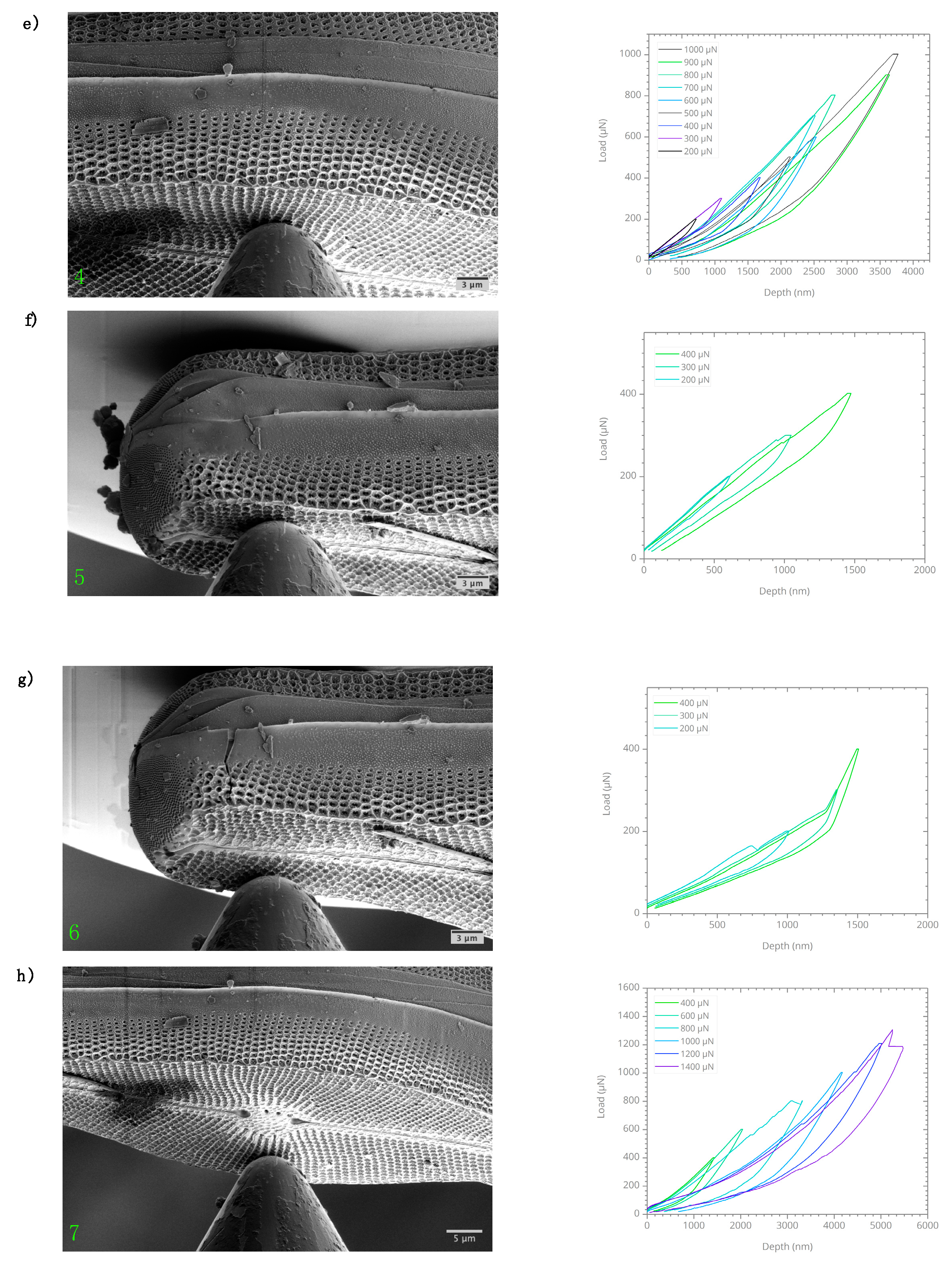 Nanomaterials 10 00959 g006b Nanomaterials 10 00959 g006b