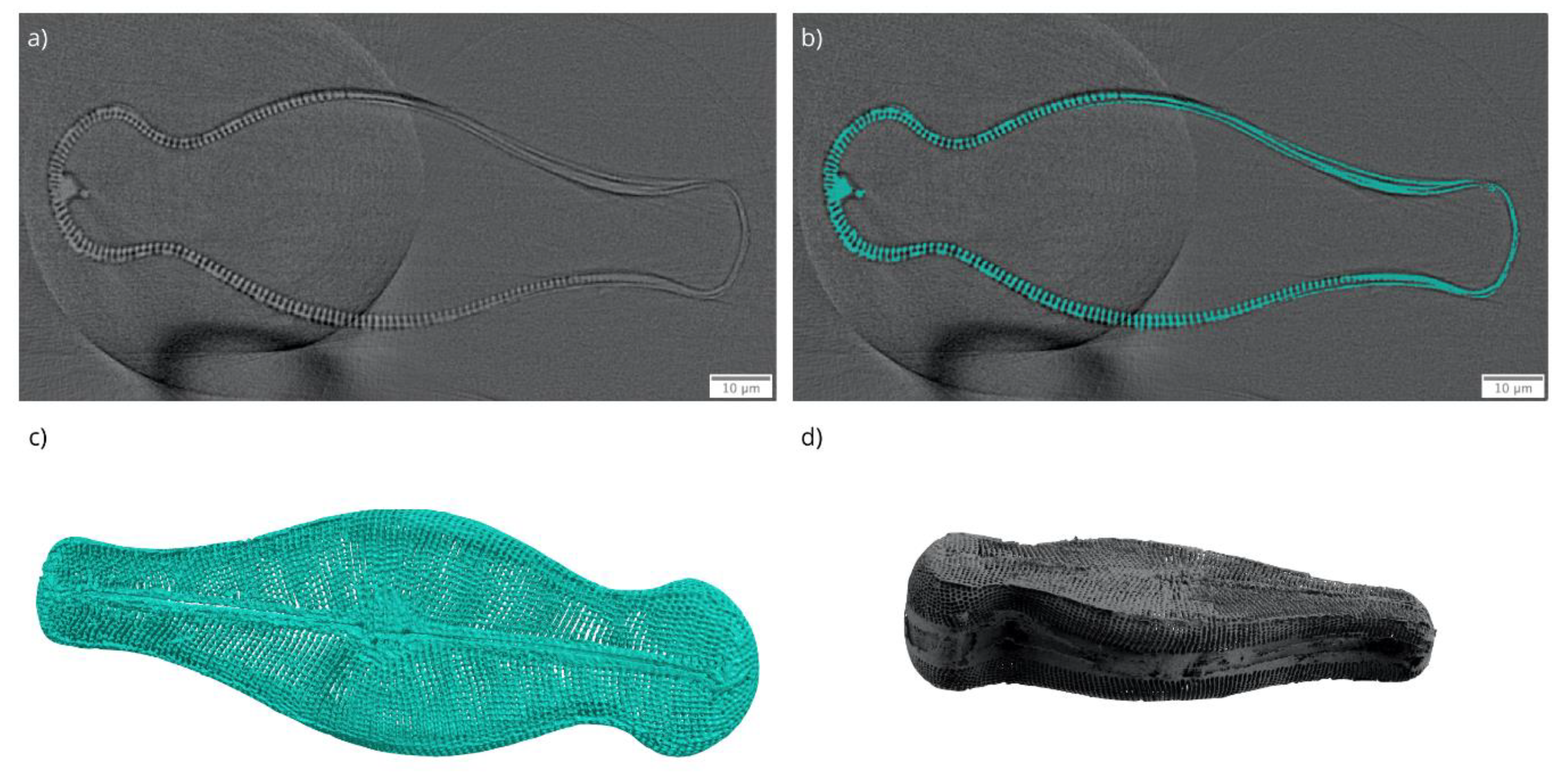 Nanomaterials 10 00959 g007 Nanomaterials 10 00959 g007