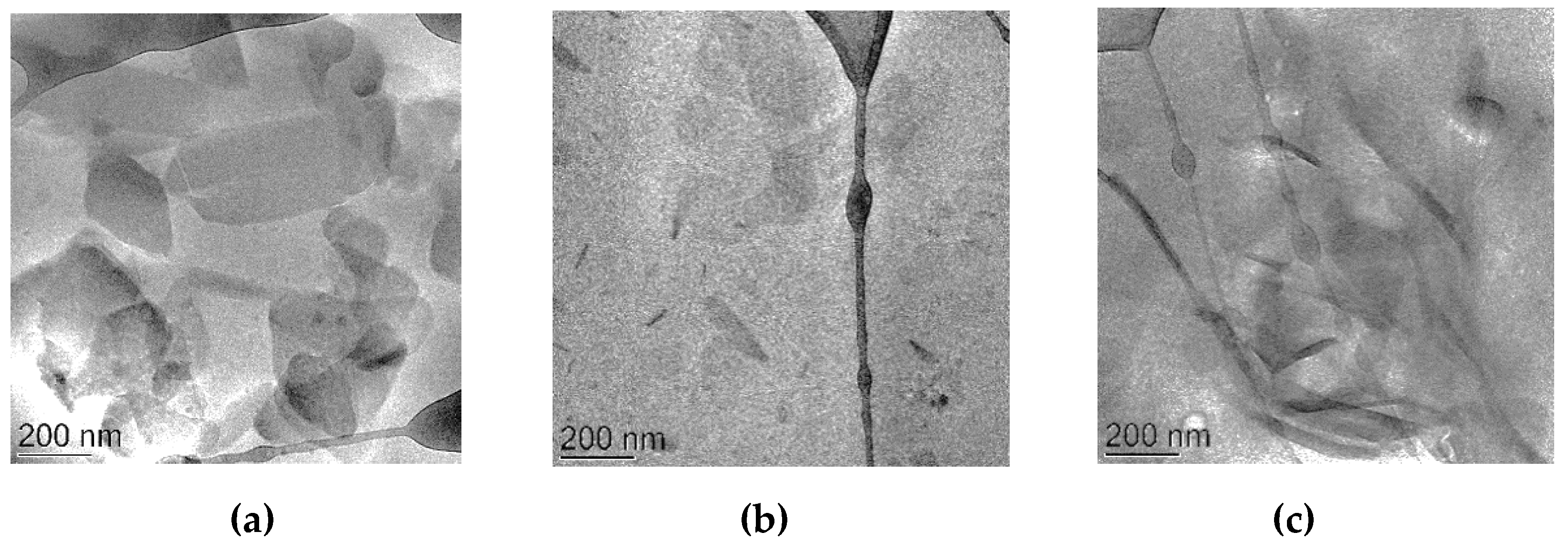 Nanomaterials 10 00961 g001