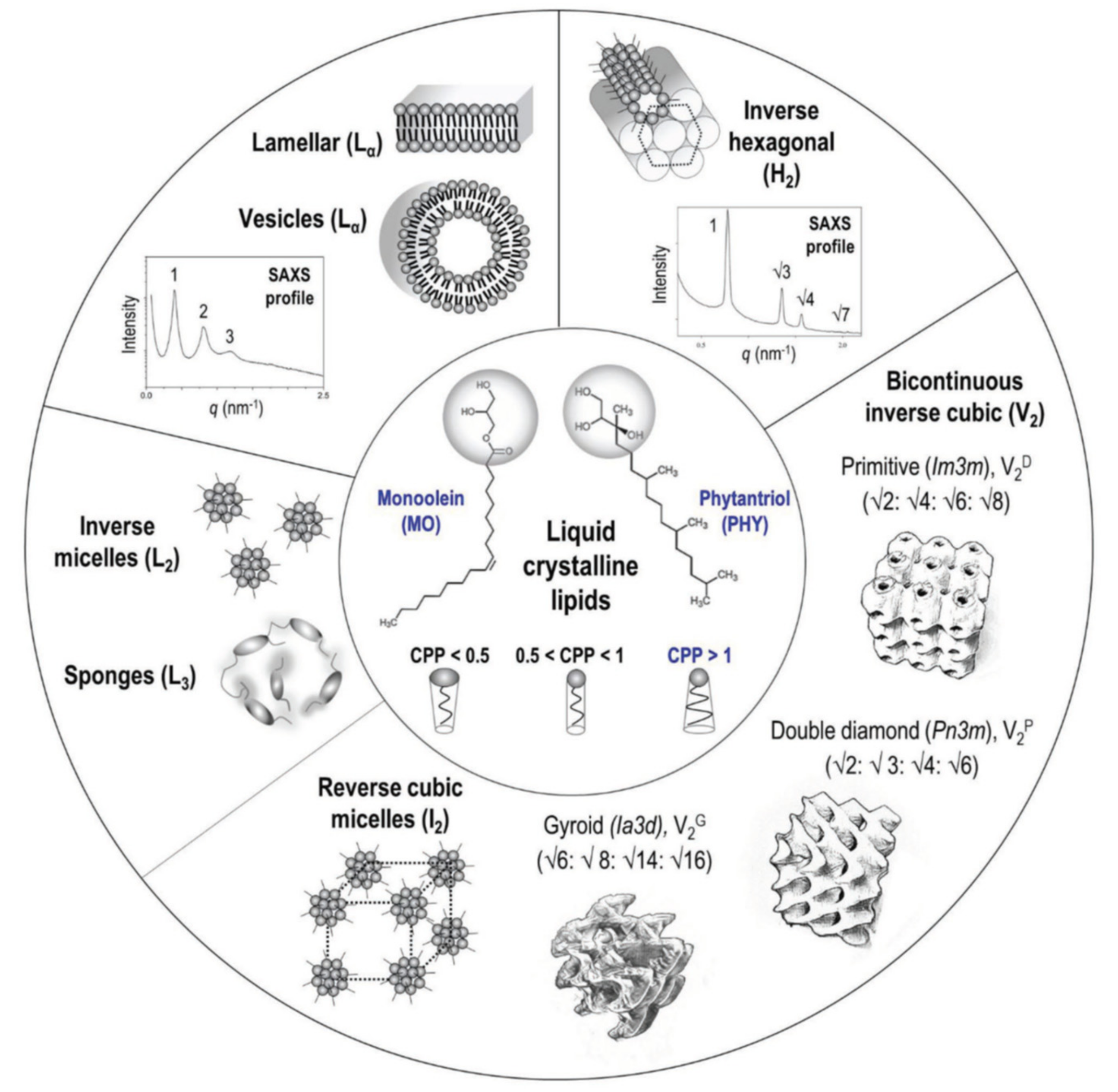 Nanomaterials 10 00963 g001