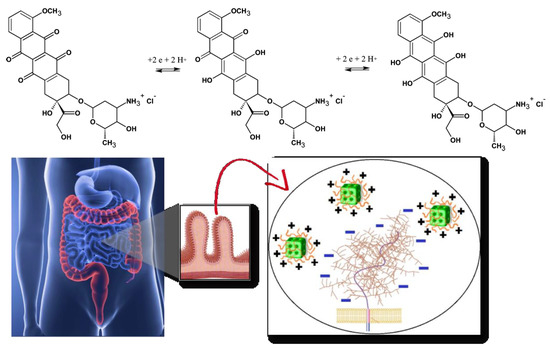 Nanomaterials 10 00963 g002 550