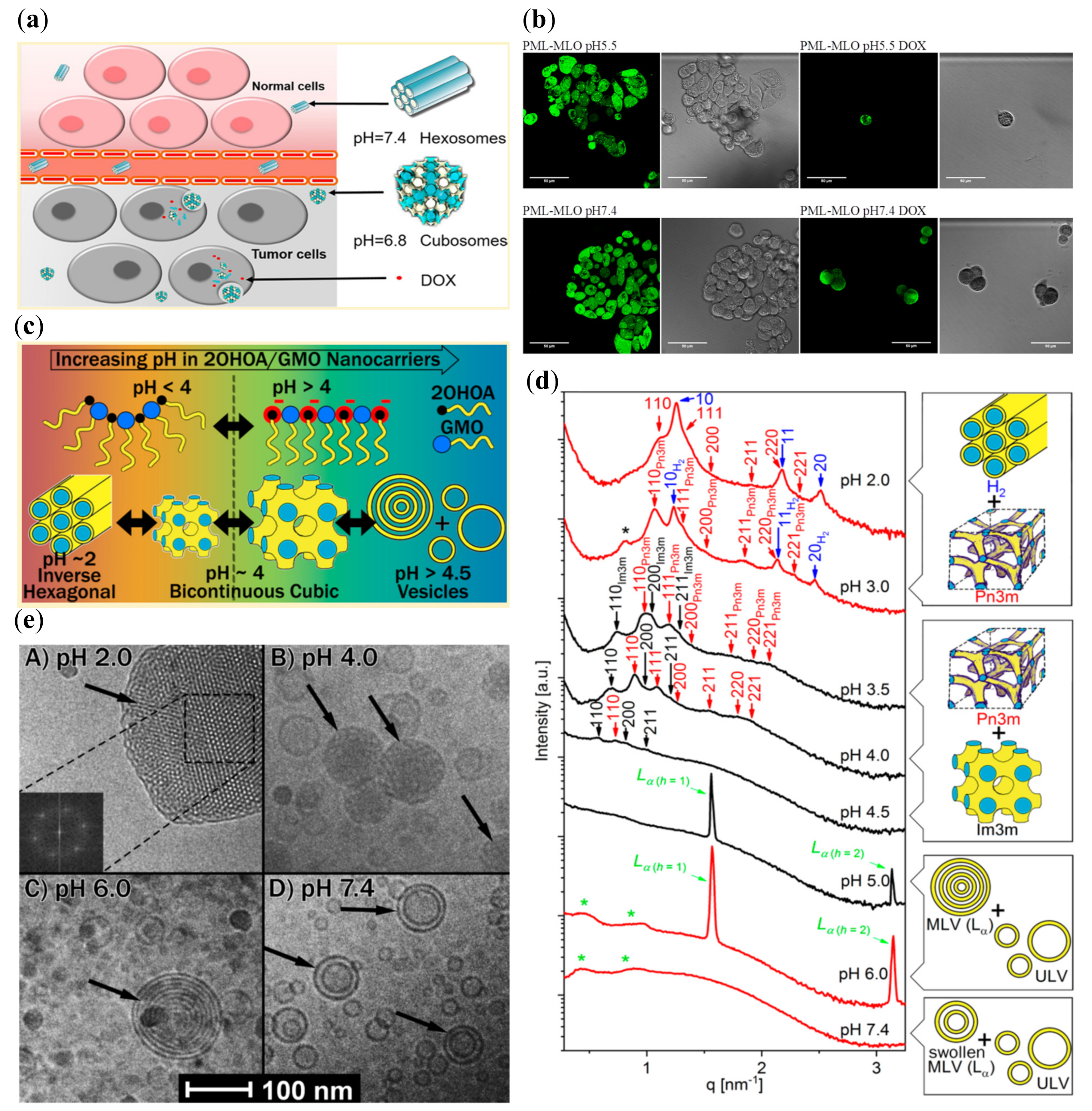 Nanomaterials 10 00963 g003