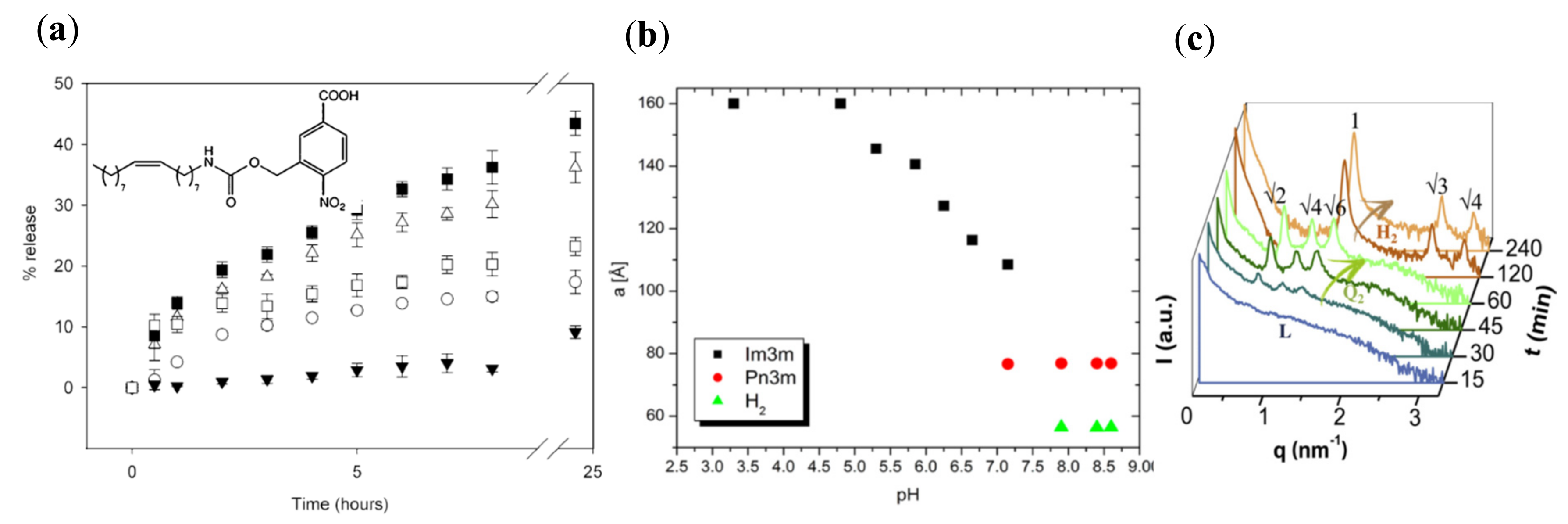 Nanomaterials 10 00963 g005