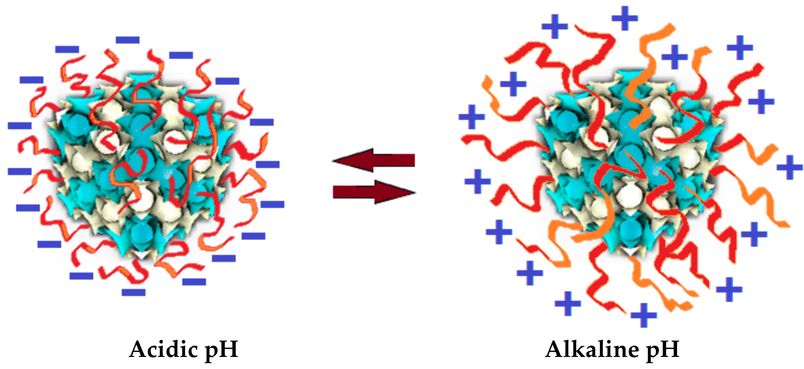 Nanomaterials 10 00963 g007