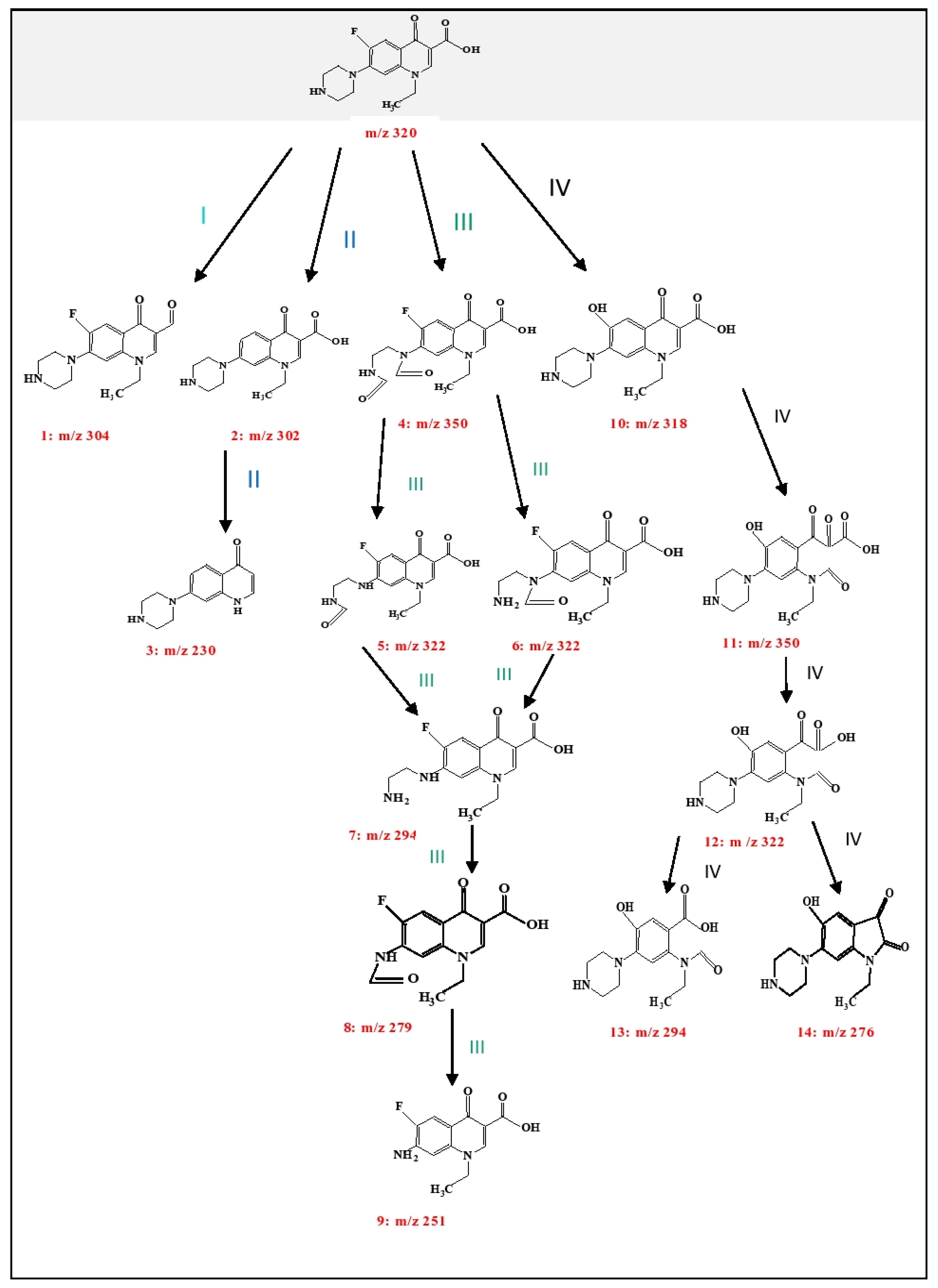 Nanomaterials 10 00964 g019