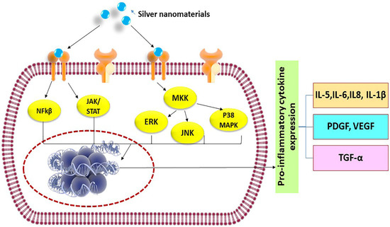 Nanomaterials 10 00967 g003 550