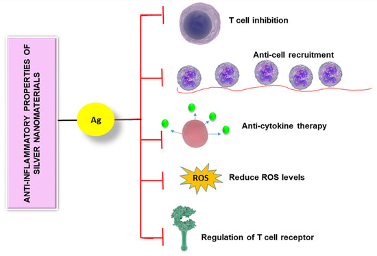 Nanomaterials 10 00967 g004 550