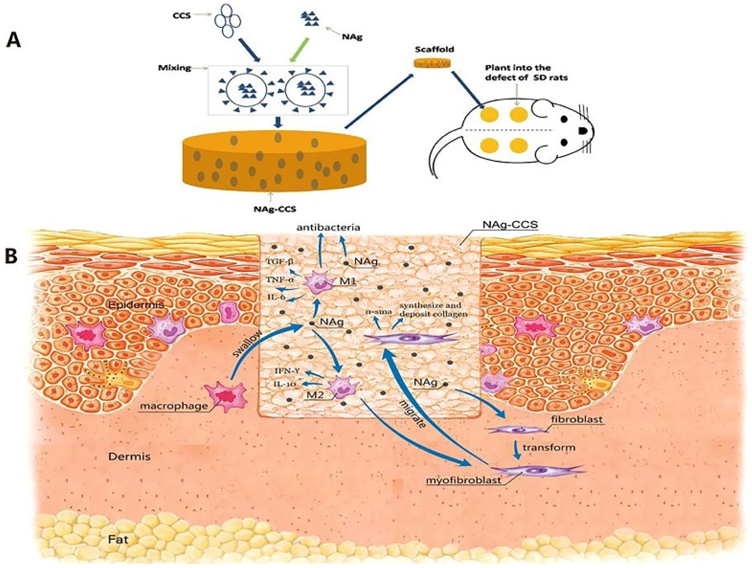 Nanomaterials 10 00967 g006 Nanomaterials 10 00967 g006