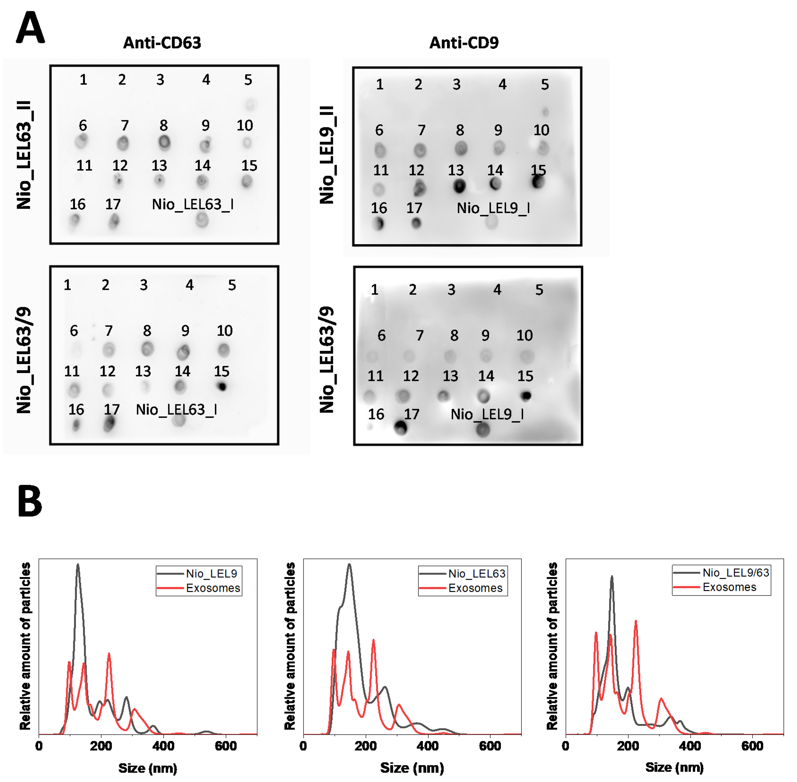 Nanomaterials 10 00971 g003