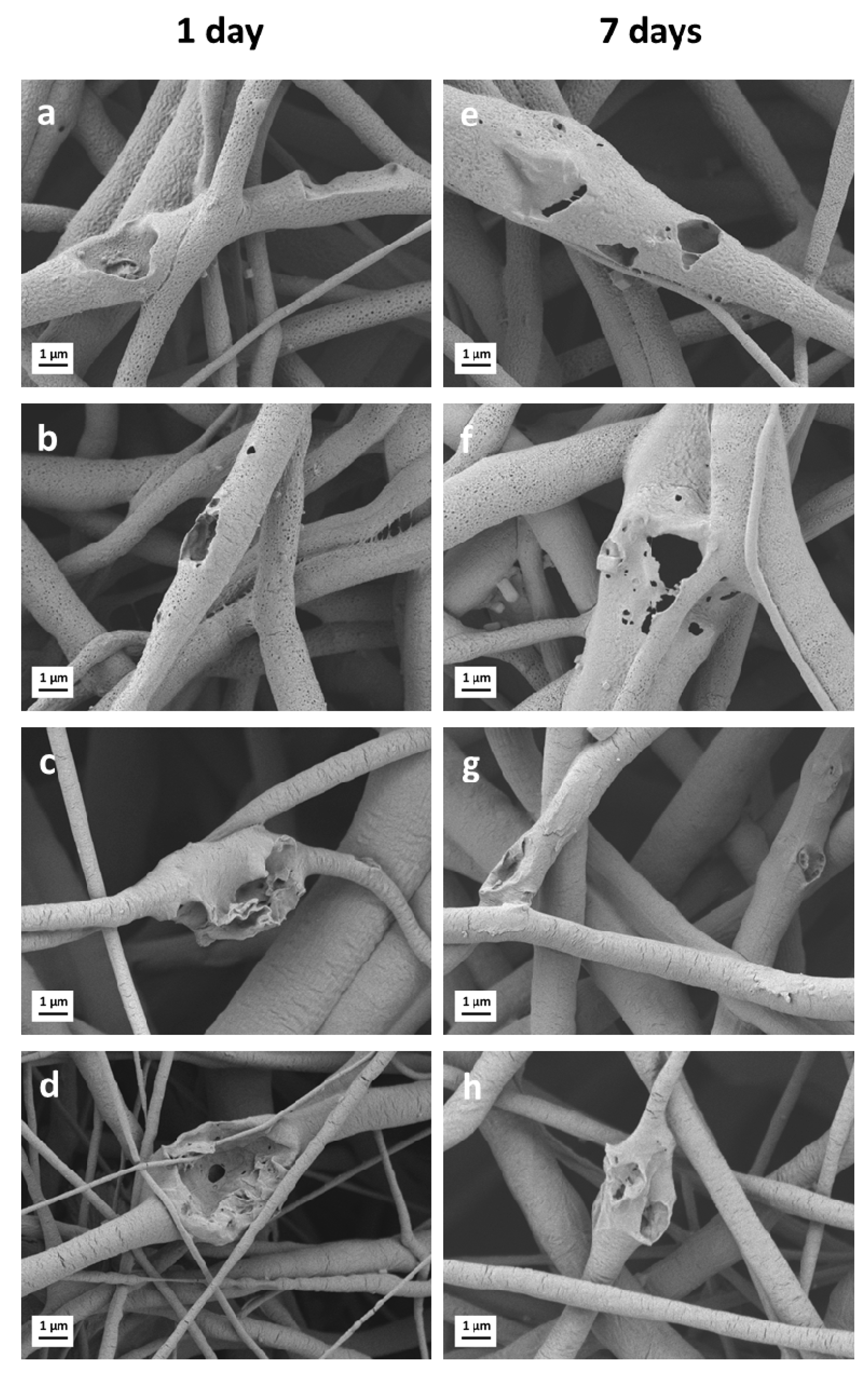 Nanomaterials 10 00978 g006