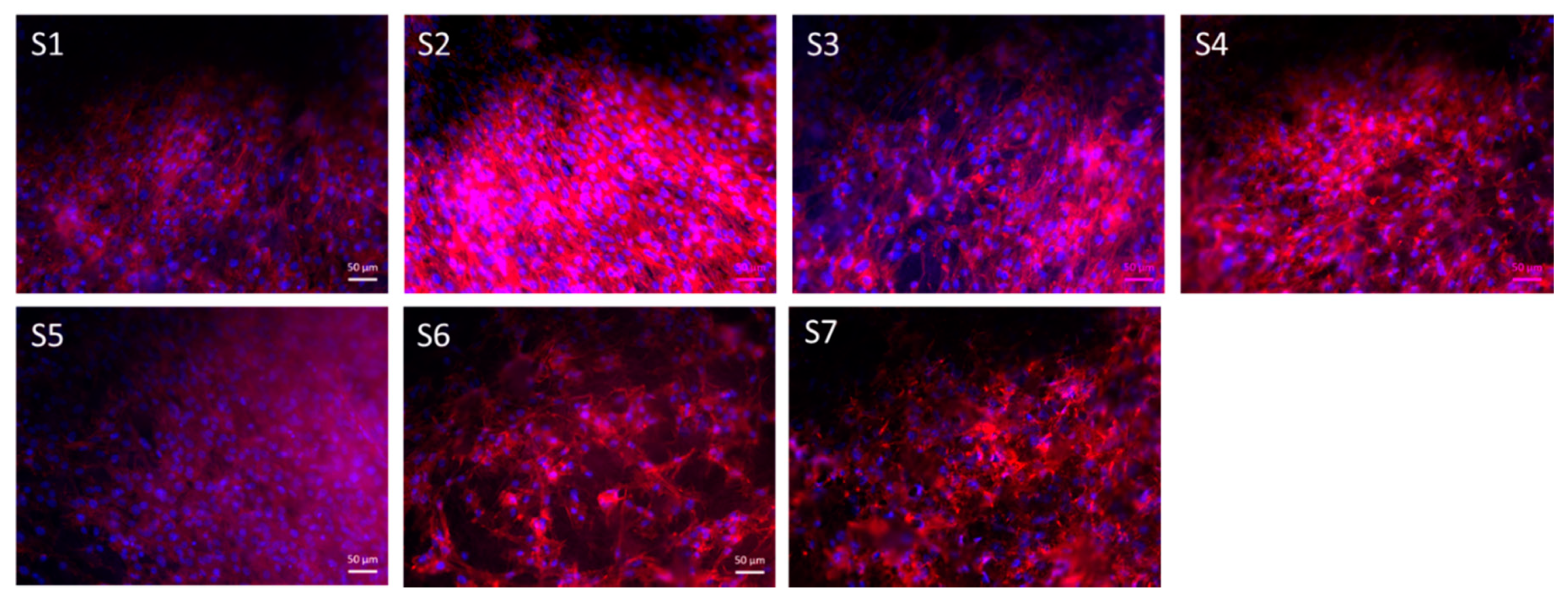 Nanomaterials 10 00978 g009