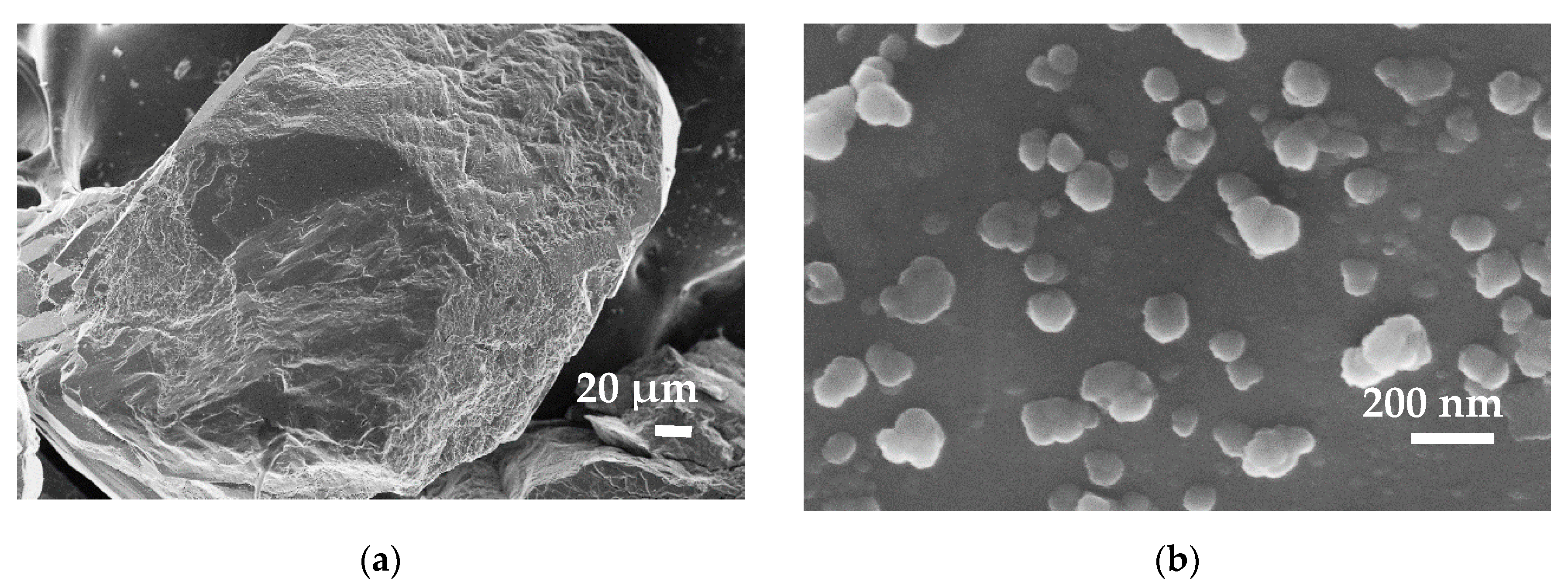 Nanomaterials 10 00980 g006
