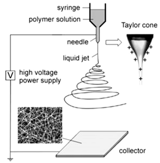 Nanomaterials 10 00982 g001 550