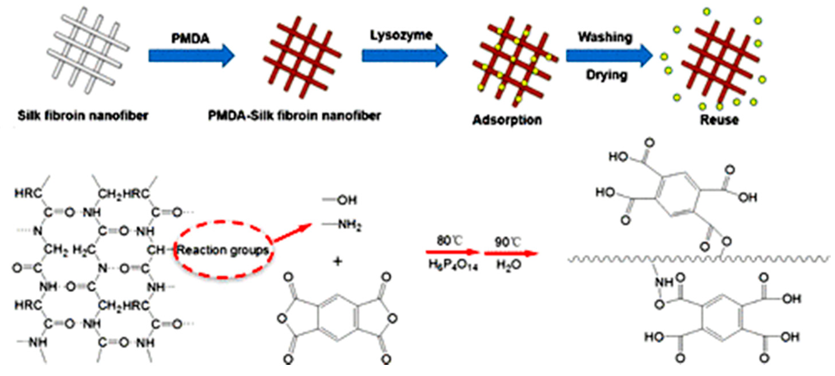 Nanomaterials 10 00982 g003 Nanomaterials 10 00982 g003