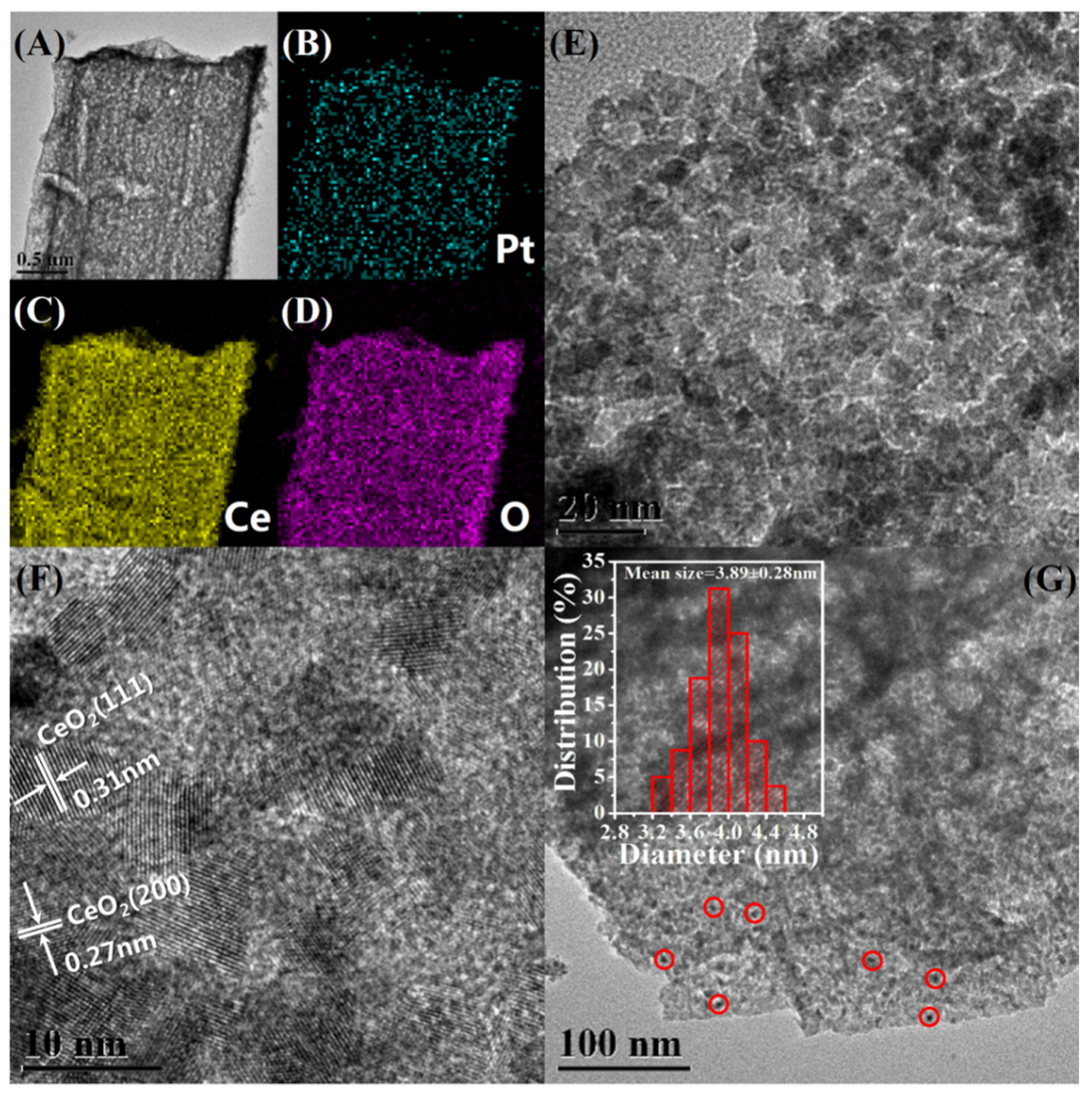 Nanomaterials 10 00983 g002 Nanomaterials 10 00983 g002