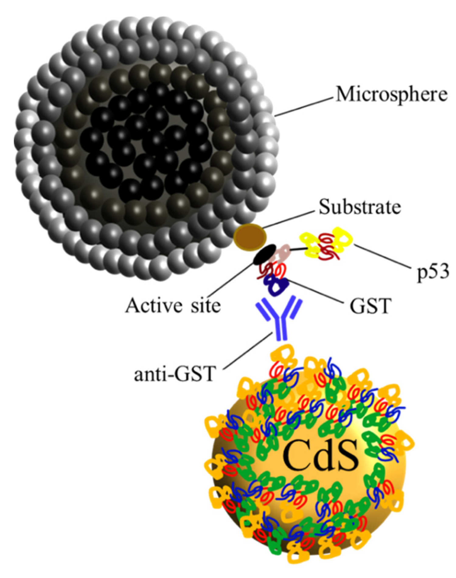 Nanomaterials 10 00984 g011 Nanomaterials 10 00984 g011